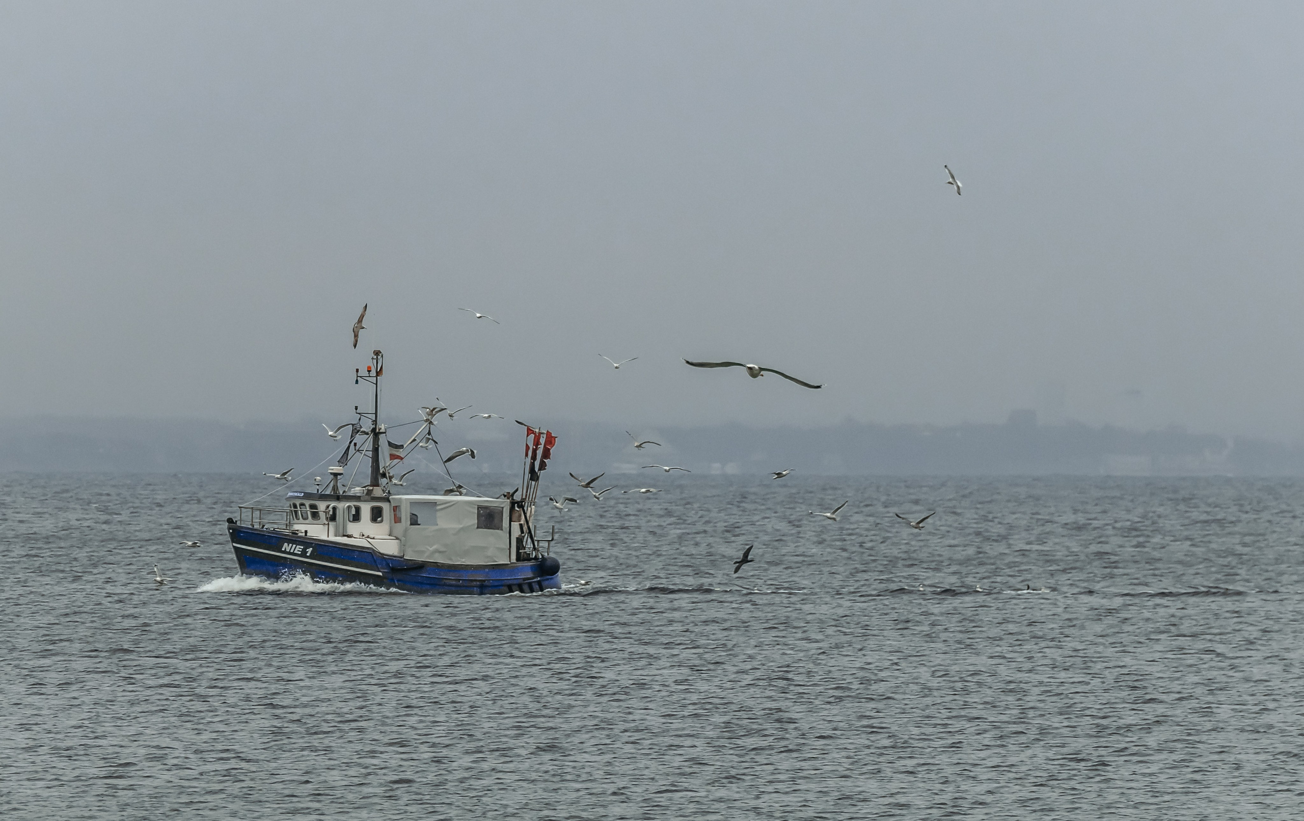 TRAVEL&NATURE. NE Cinema — backstage and reportage photography in cinema, music, Automotive and sport