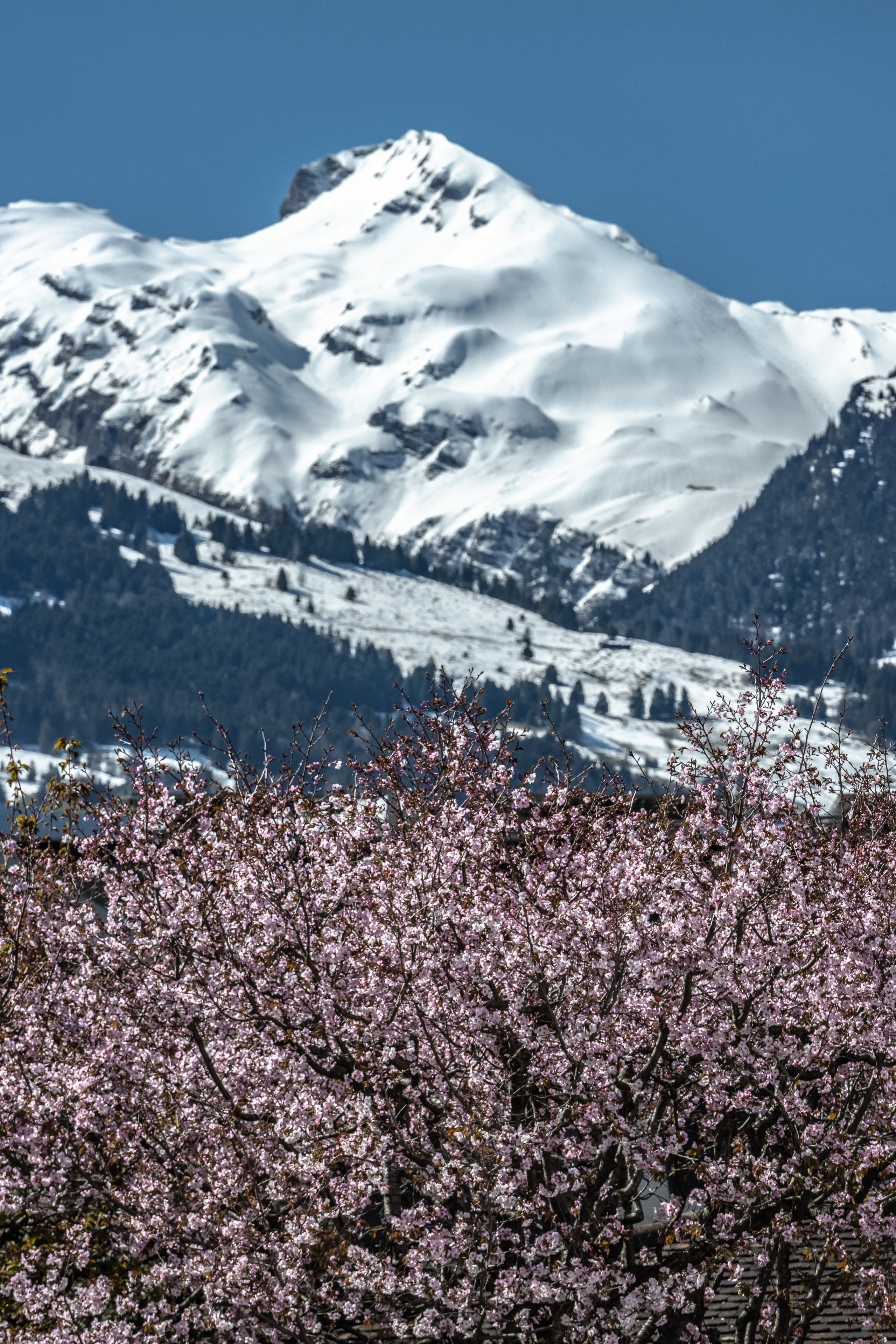 TRAVEL&NATURE. NE Cinema — backstage and reportage photography in cinema, music, Automotive and sport