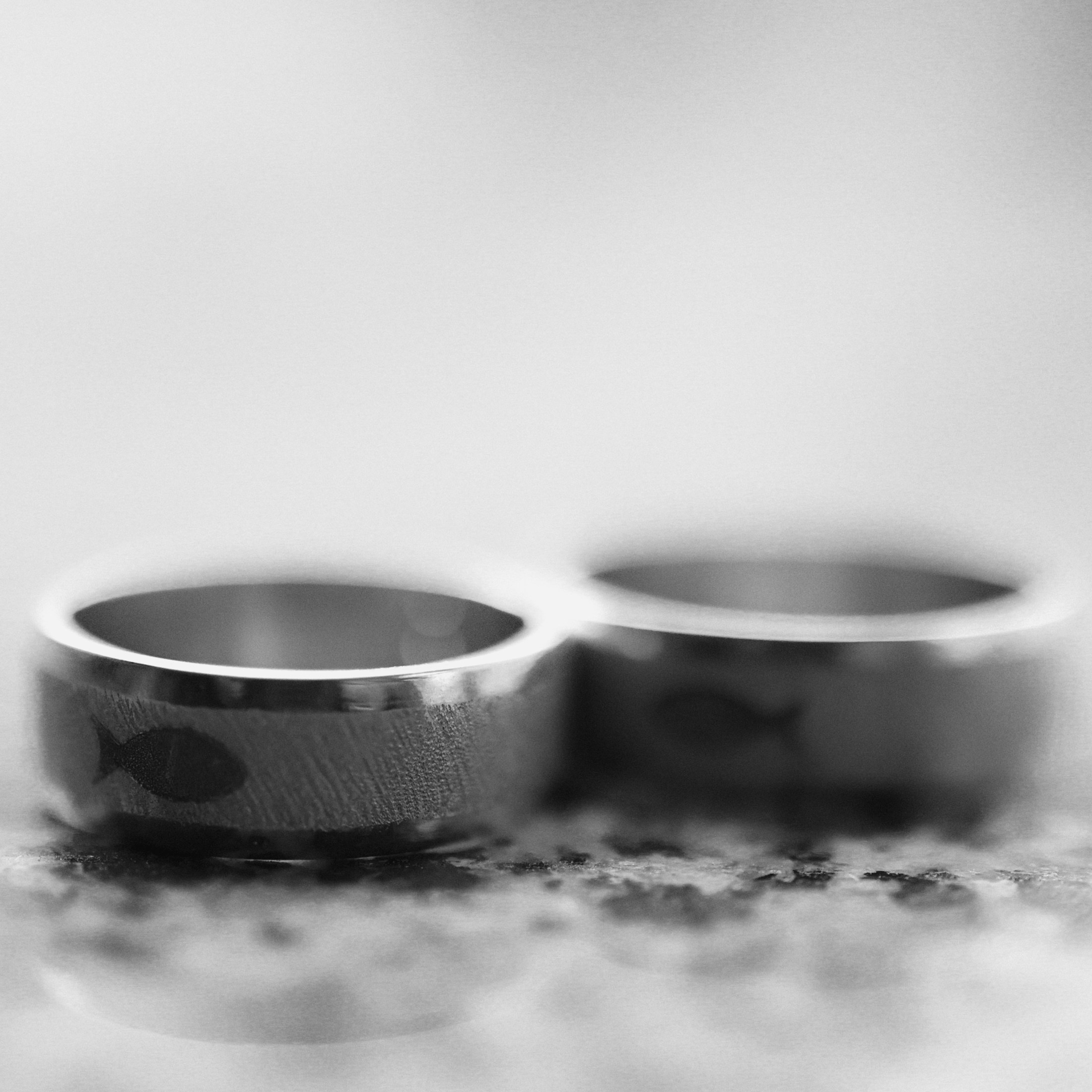 ИХТИС. Фотограф Донецк. Горловка. ДНР. Севастополь