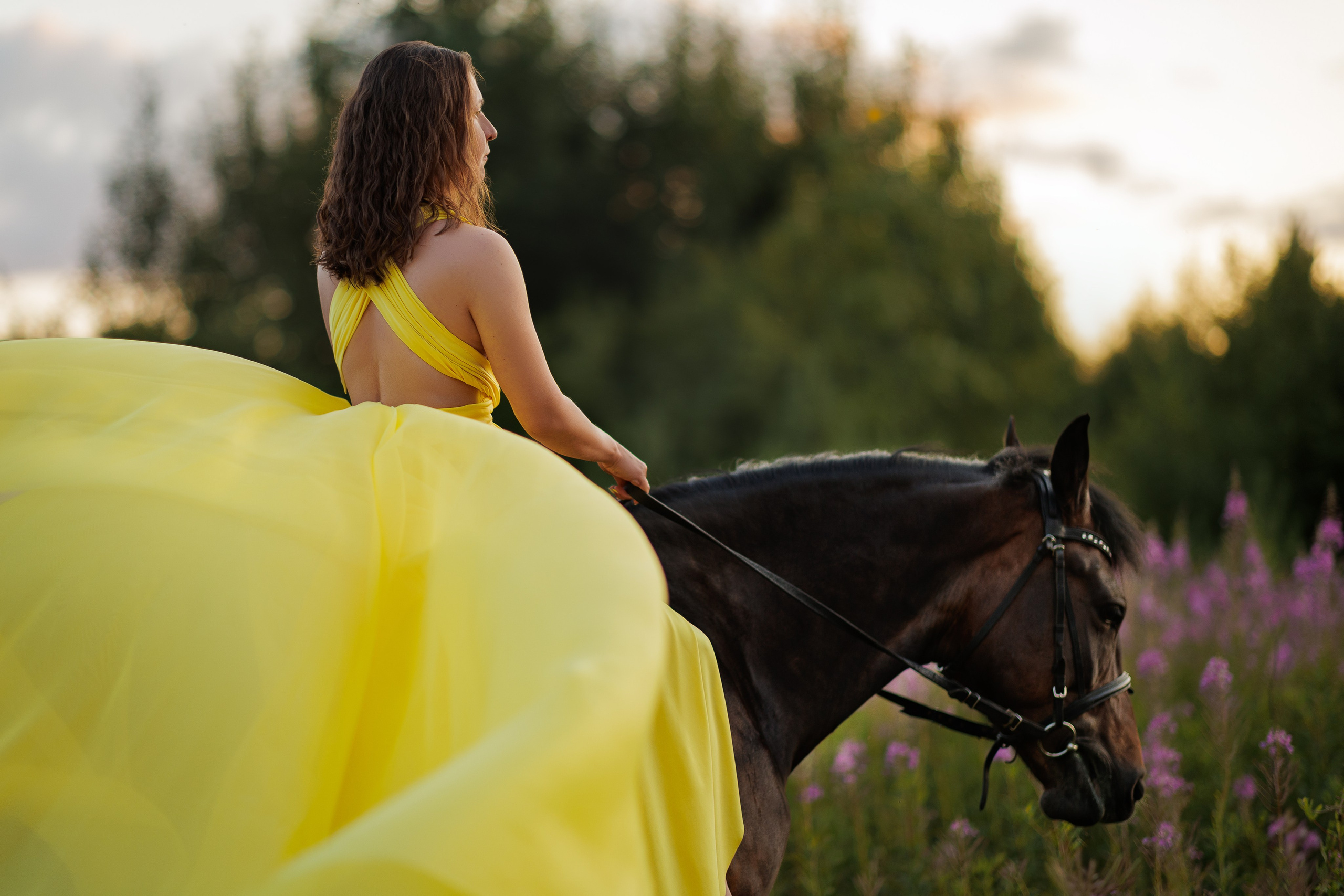 Фотосессия с лошадью в поле