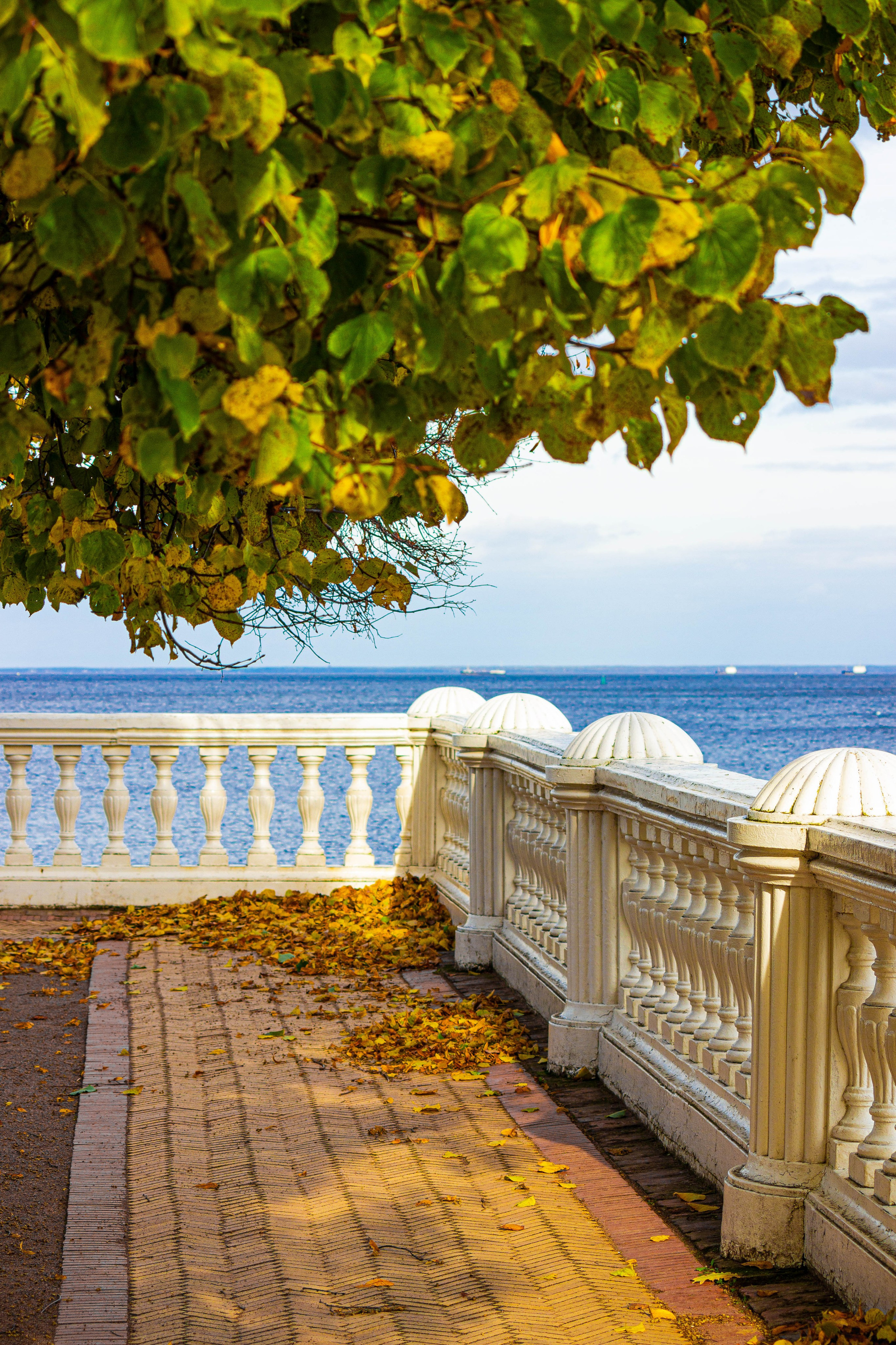 Петергоф. Maks Mironov