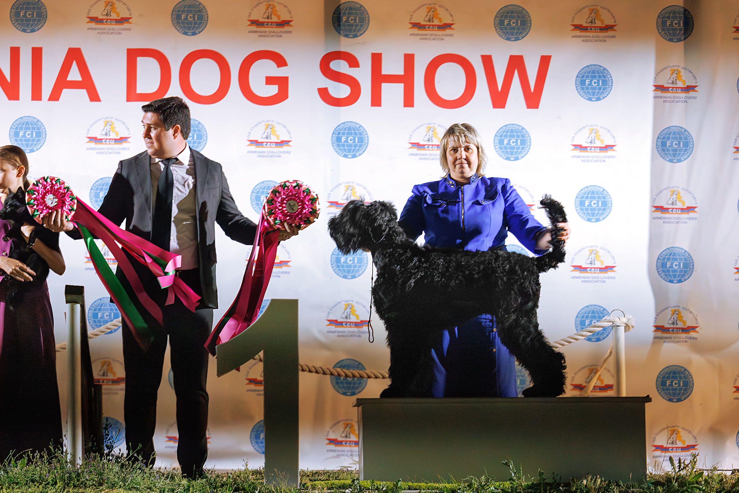 Ереван 3хCACIB 23-25.06.2025. Фотограф-анималист Юлия Германика