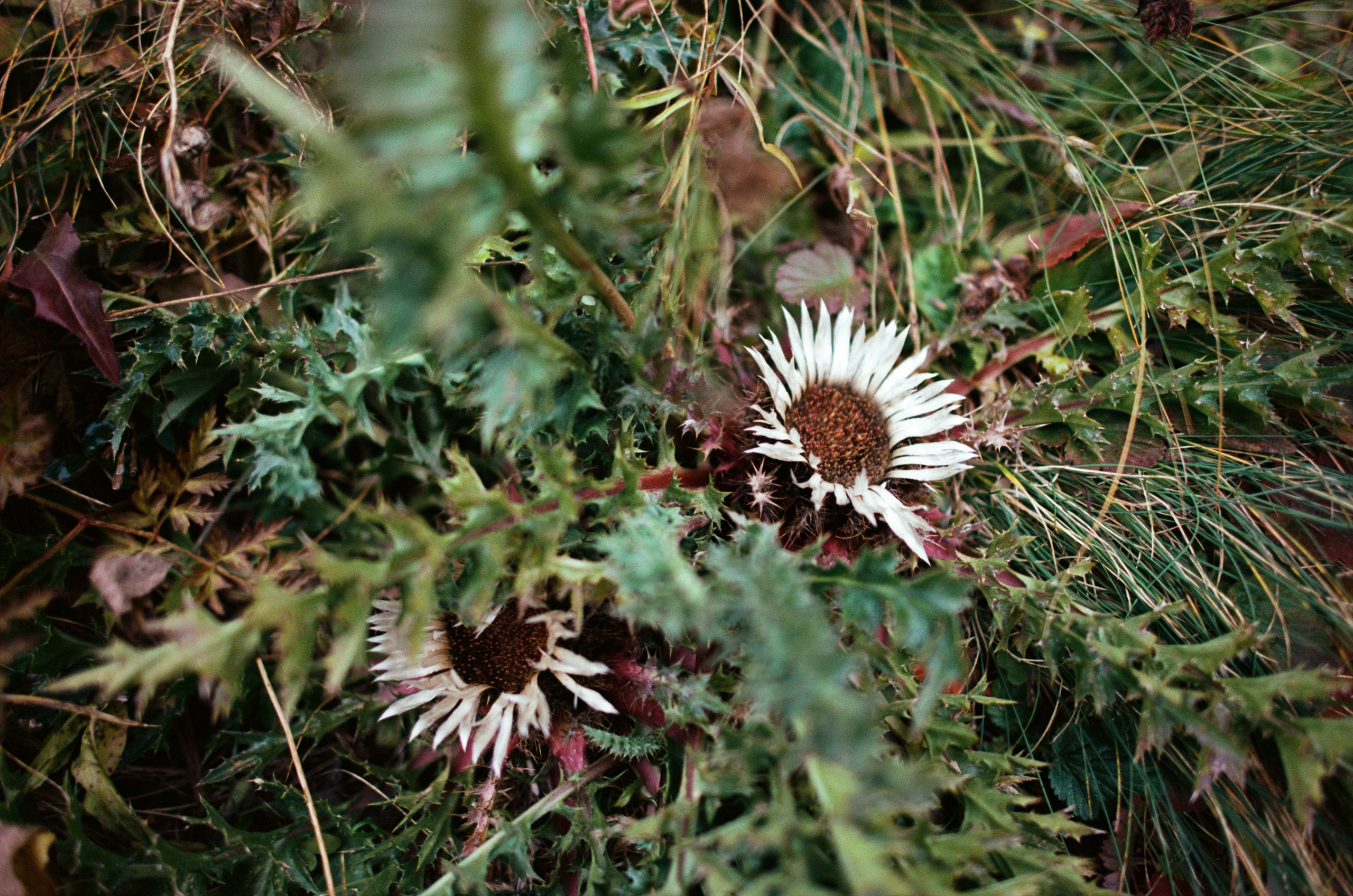 Fear for nobody // italy, dolomites. EVER EXPOSED