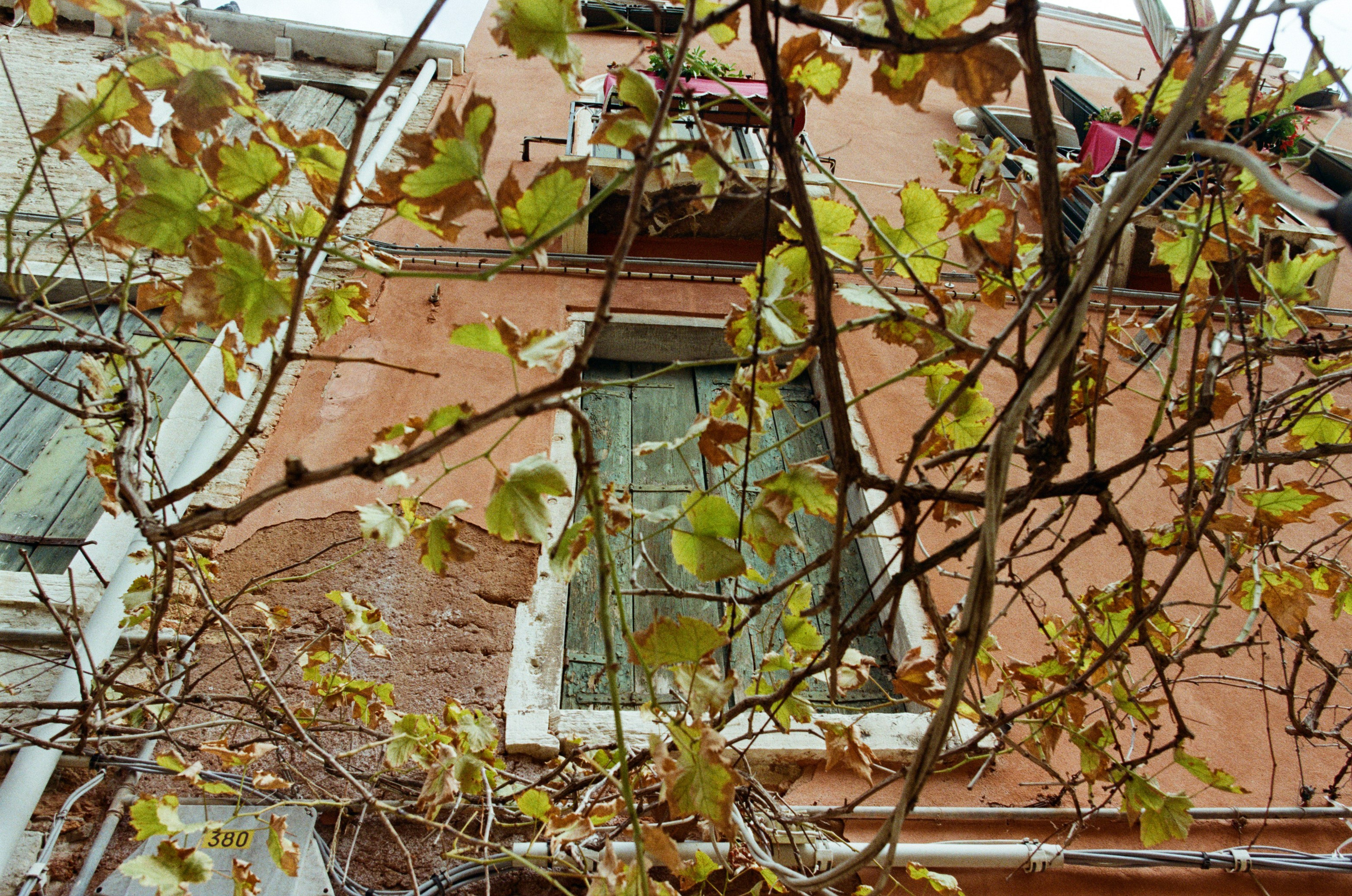 Lasciami stare // italy, venice IV. EVER EXPOSED