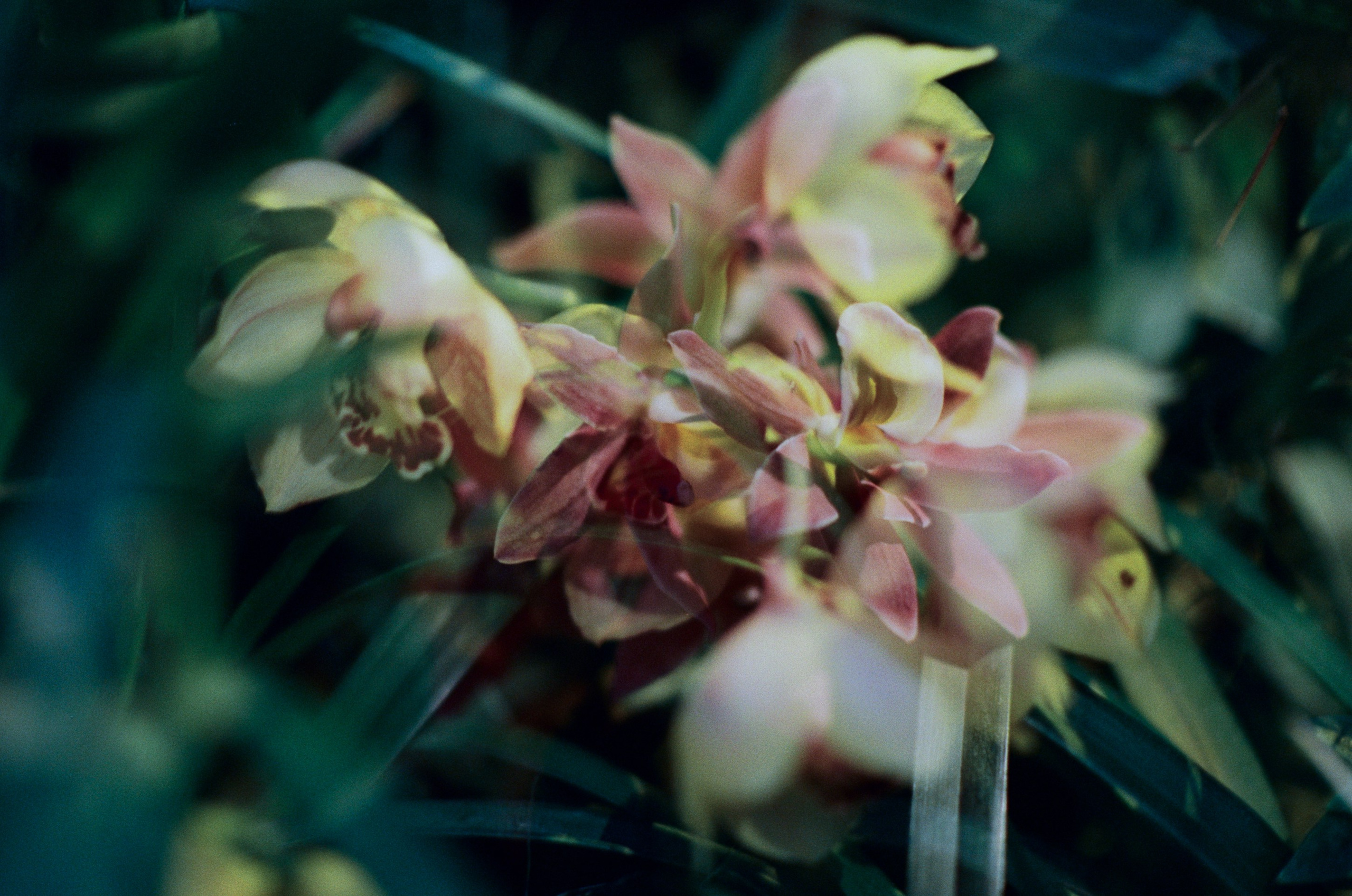 If i get high III. EVER EXPOSED