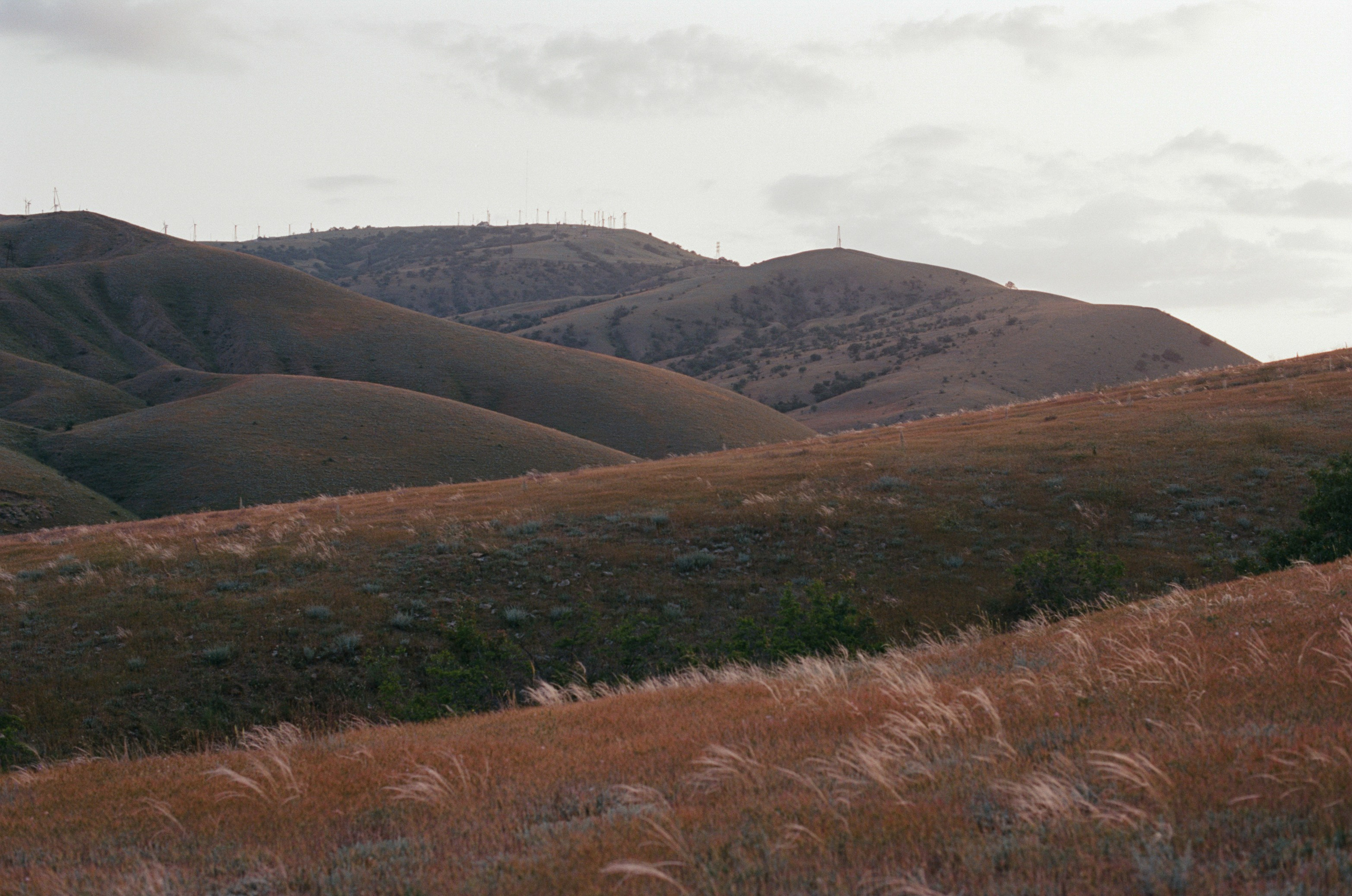 This time // ukraine, crimea IV. EVER EXPOSED
