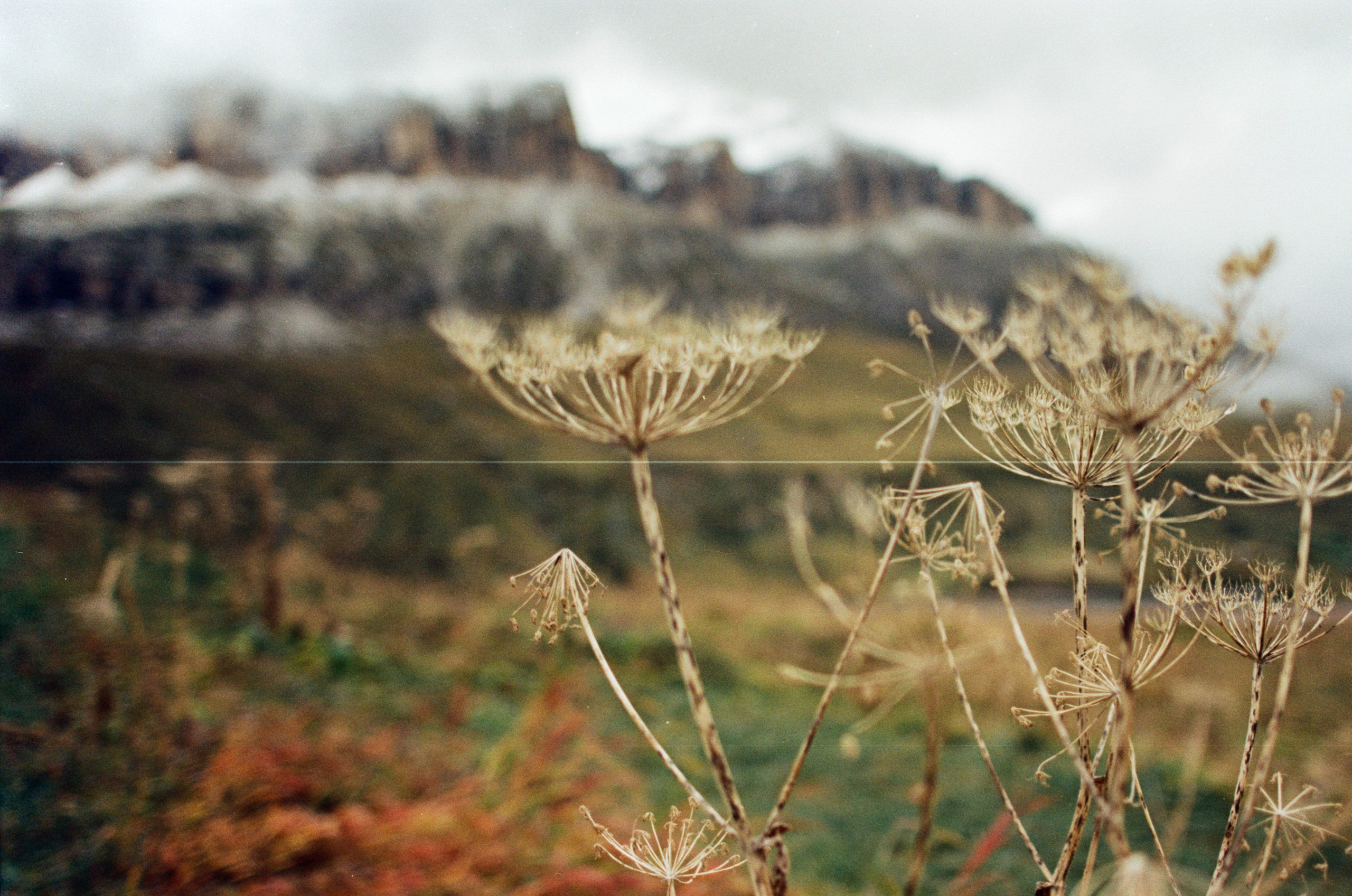 Are you coming // italy, dolomites. EVER EXPOSED