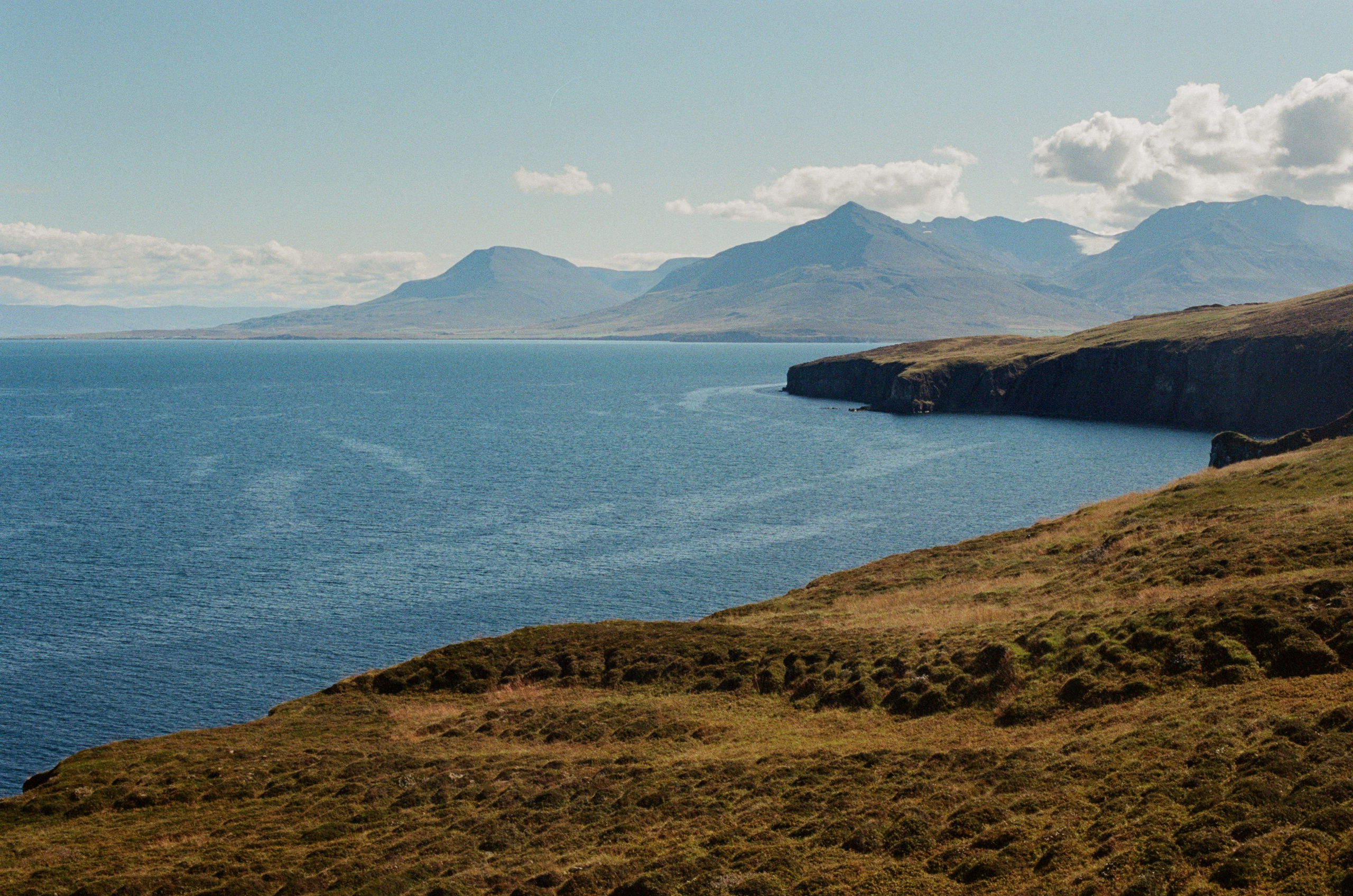Vor i vaglaskogi // iceland, 82. EVER EXPOSED