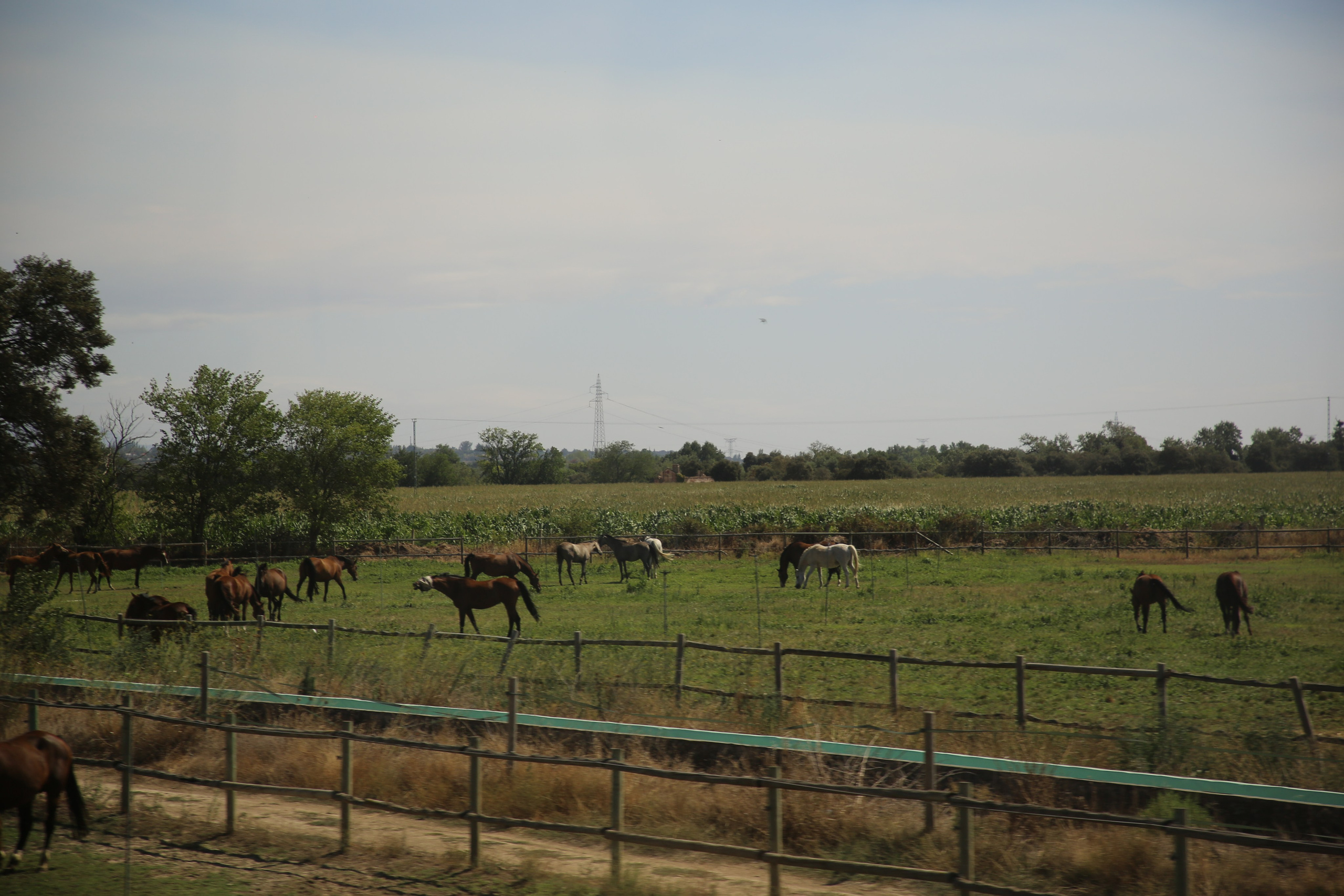 Lisbon, Portugal. Andrey Filippov Photographer