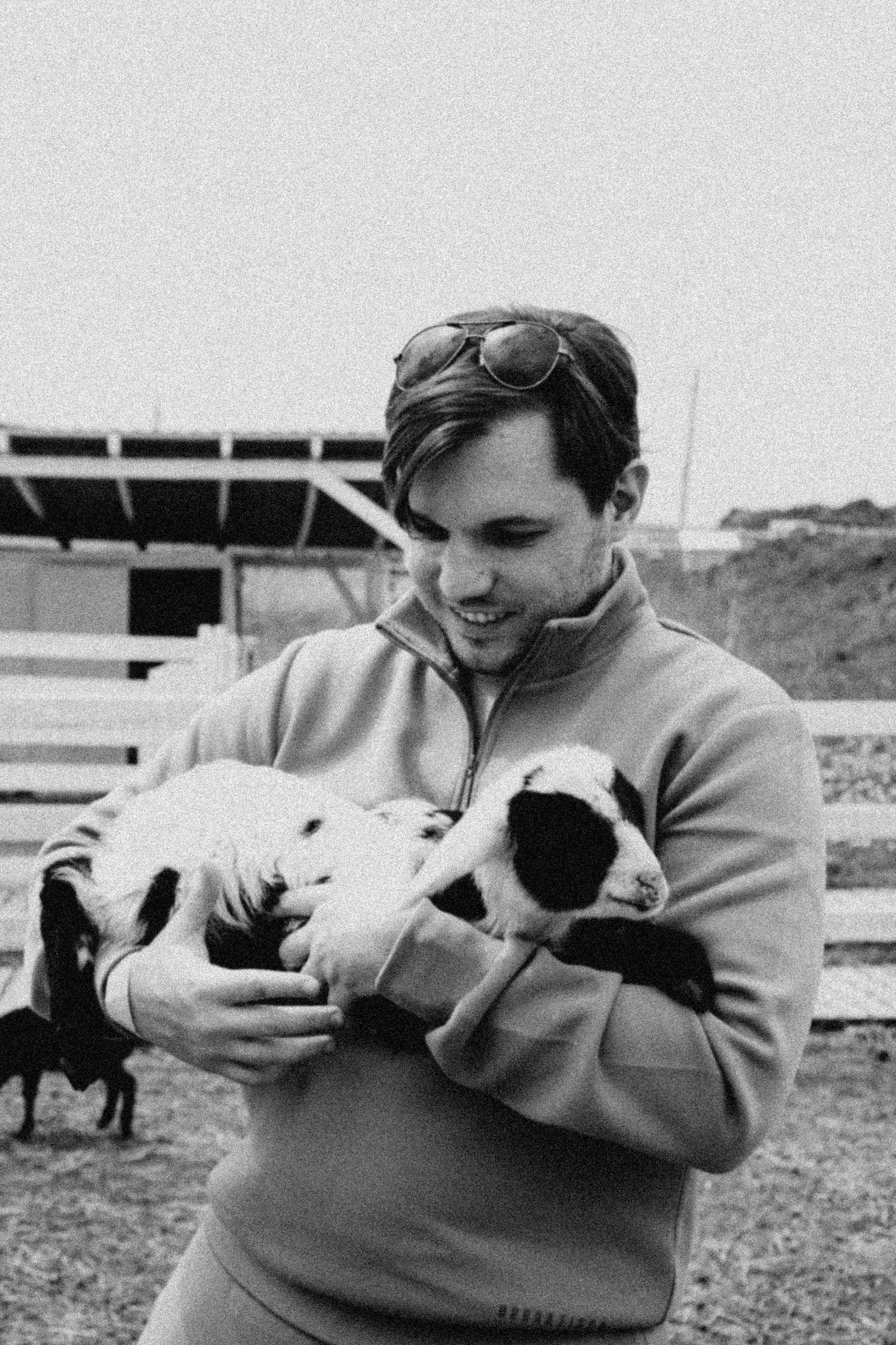 Ферма Альпак. Профессиональный фотограф, Санкт-Петербург — Виктория Богомолова