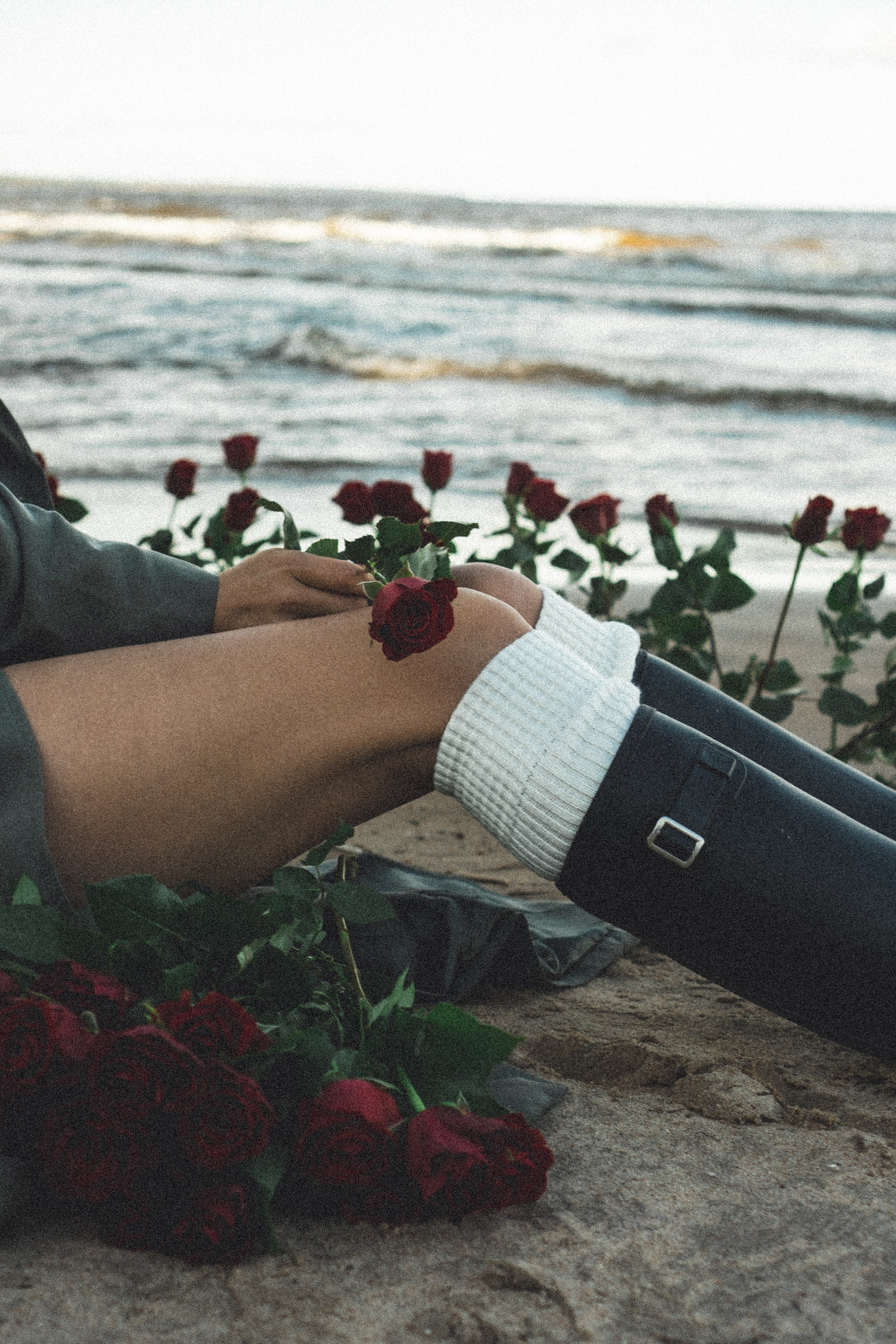 Розы. Профессиональный фотограф, Санкт-Петербург — Виктория Богомолова