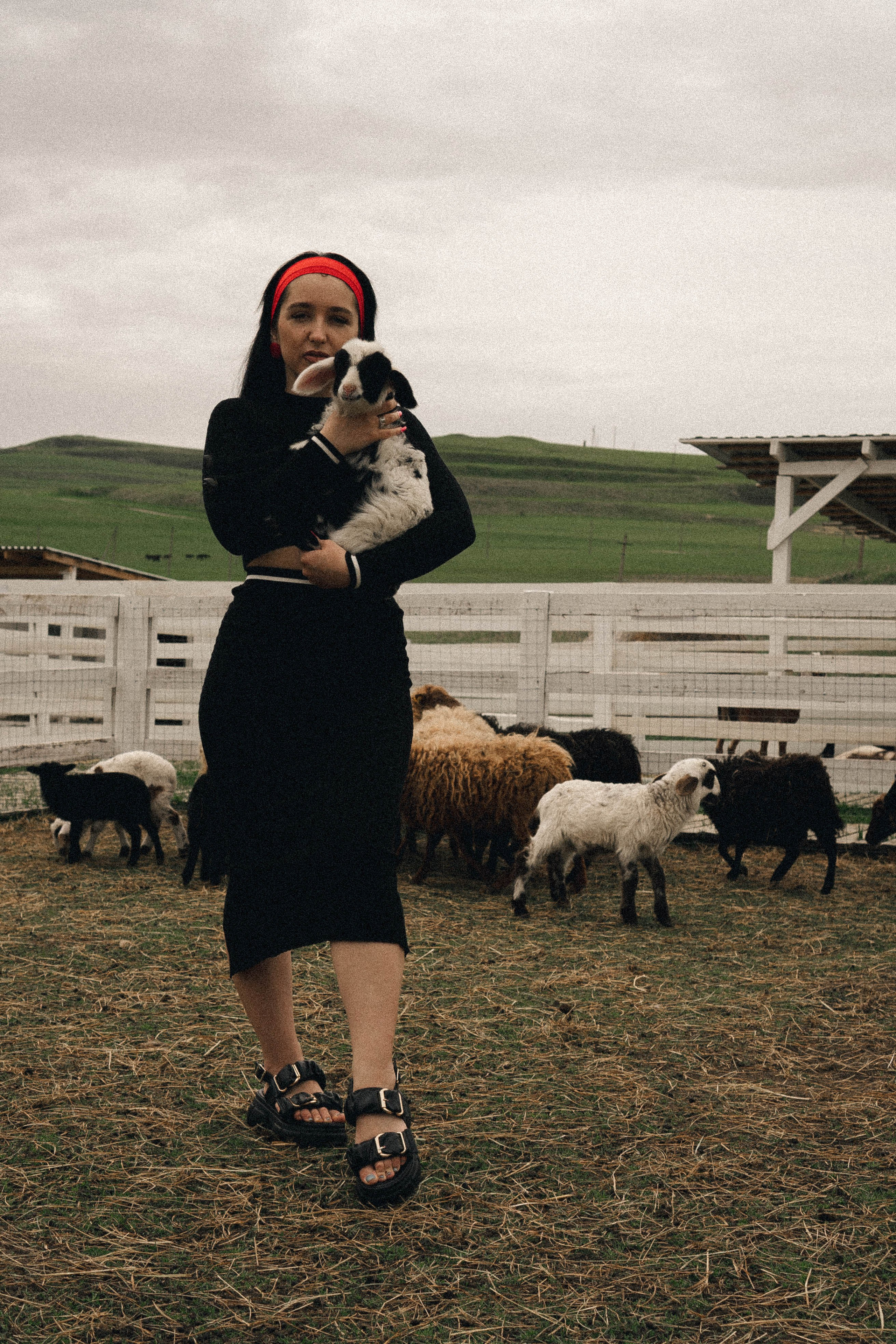 Ферма Альпак. Профессиональный фотограф, Санкт-Петербург — Виктория Богомолова