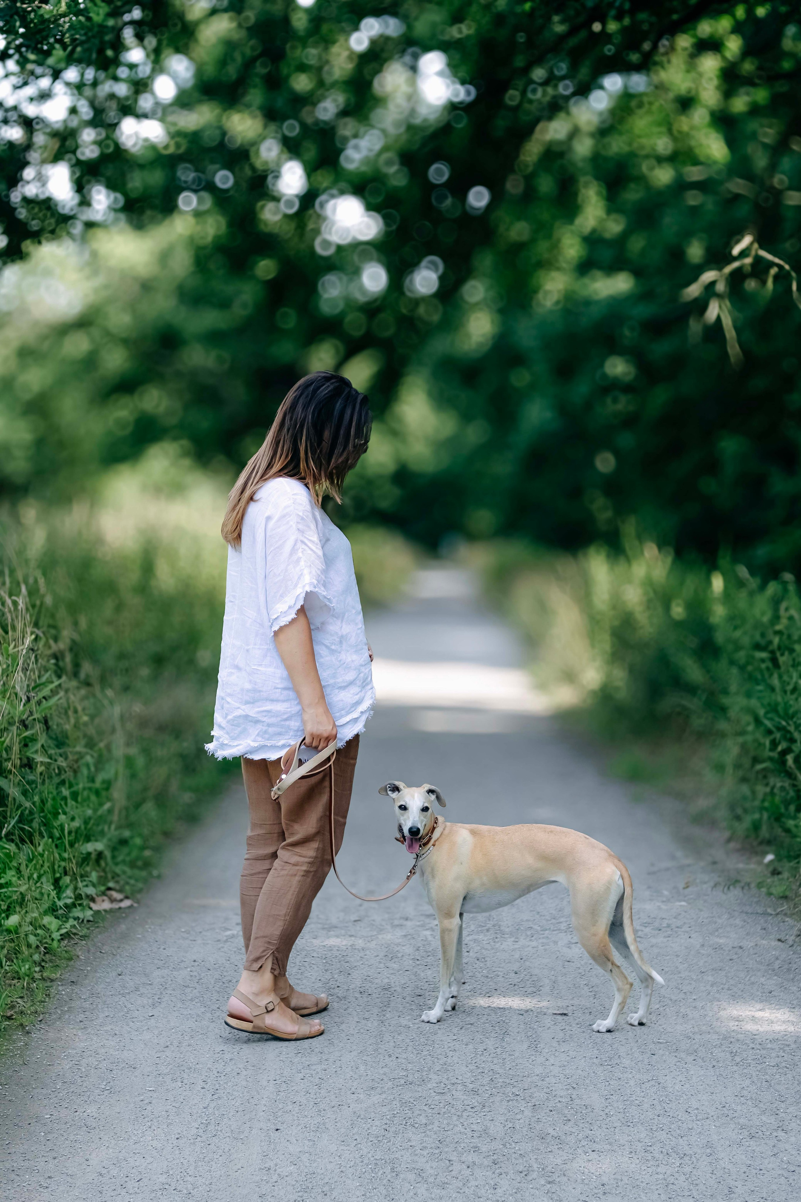 Портреты питомцев. Фотограф и видеограф в Минске Мария Войтик