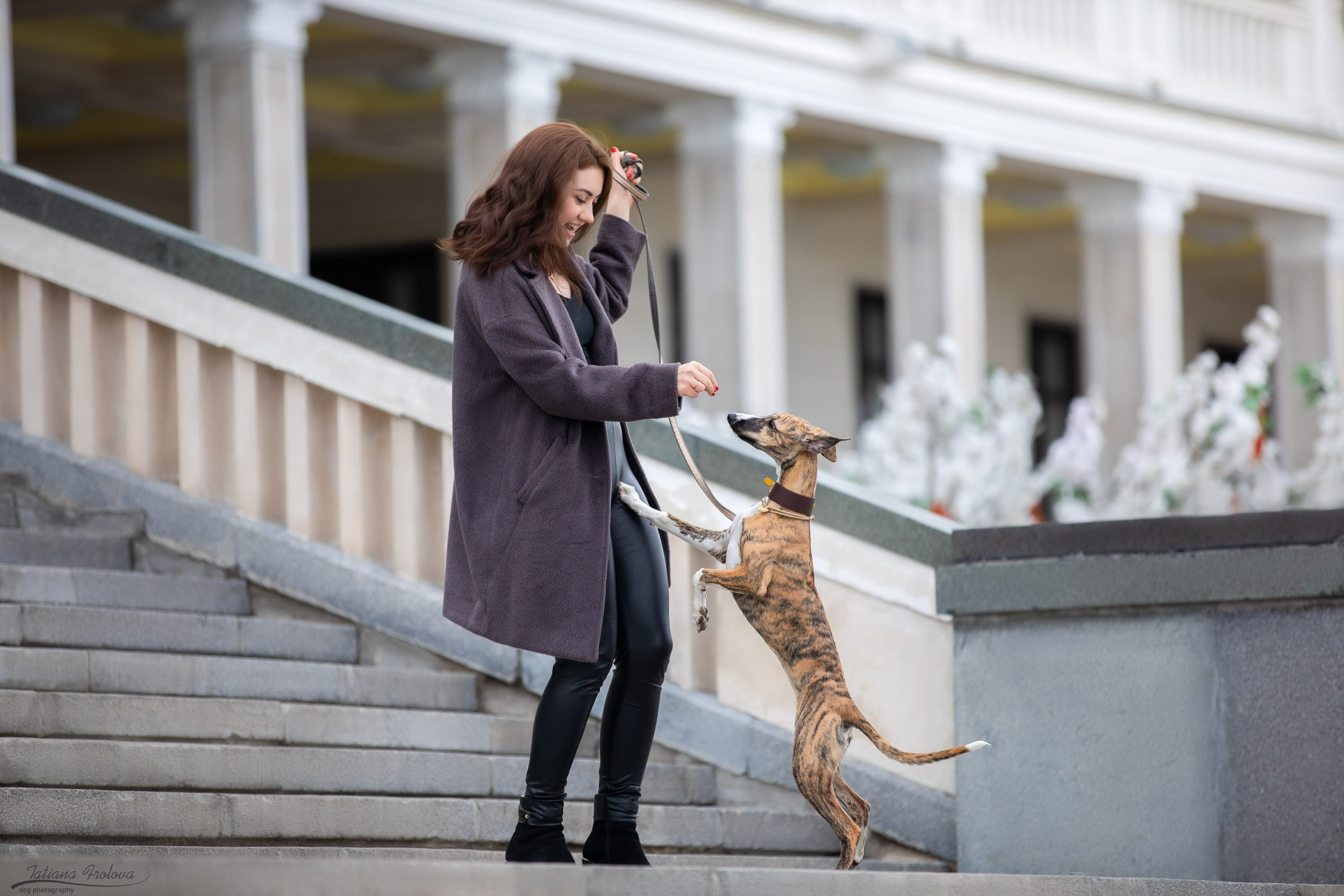 Городская фотопрогулка для Насти и щенка уиппета Корицы. Фотограф-анималист в Москве и Московской области Татьяна Фролова