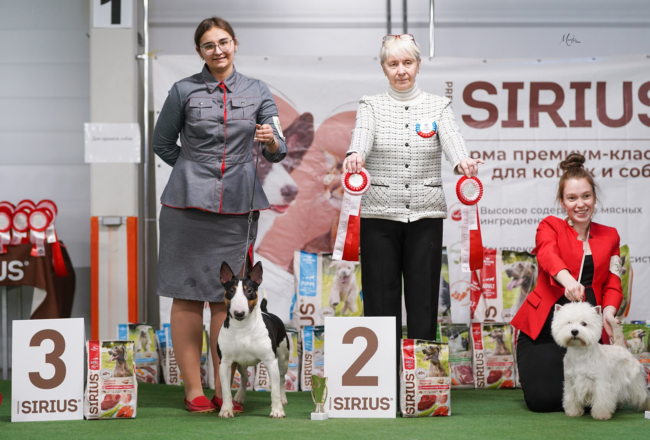 Выставки 2024. Фотограф-анималист в Санкт-Петербурге Яна Мартынова