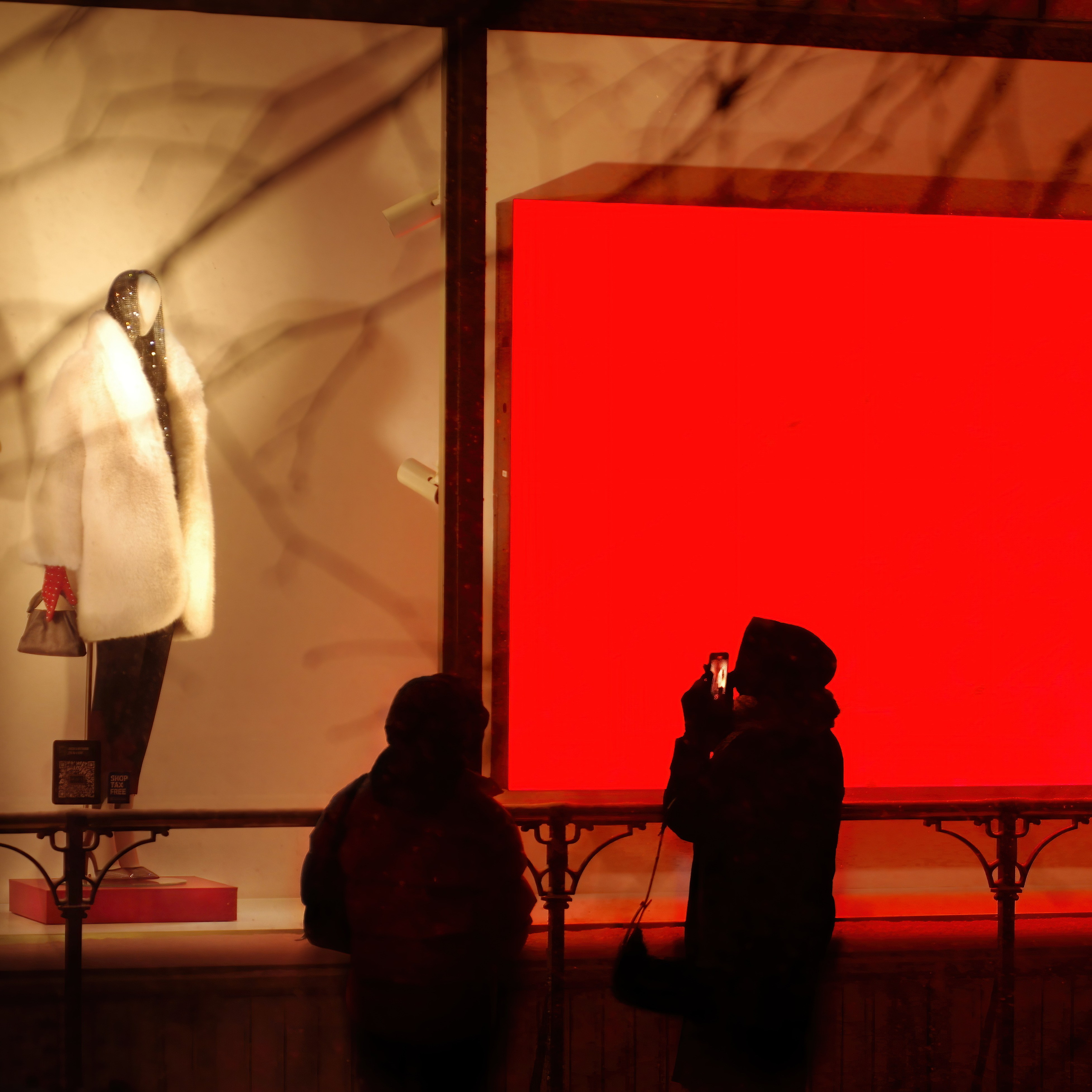 Витрина ДЛТ