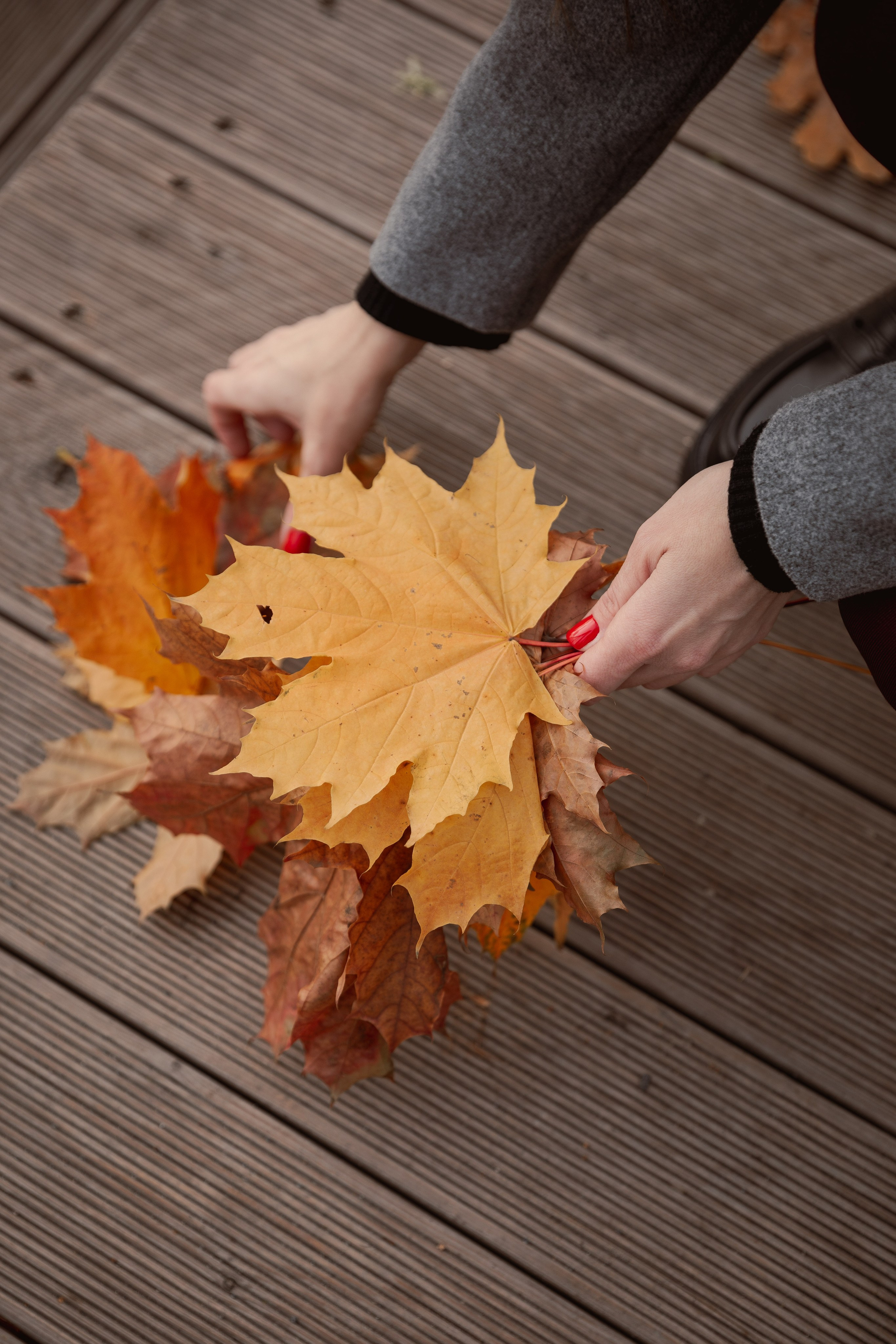 Осенняя прогулка с сыном. Индивидуальный и семейный фотограф Ирина Москвичёва