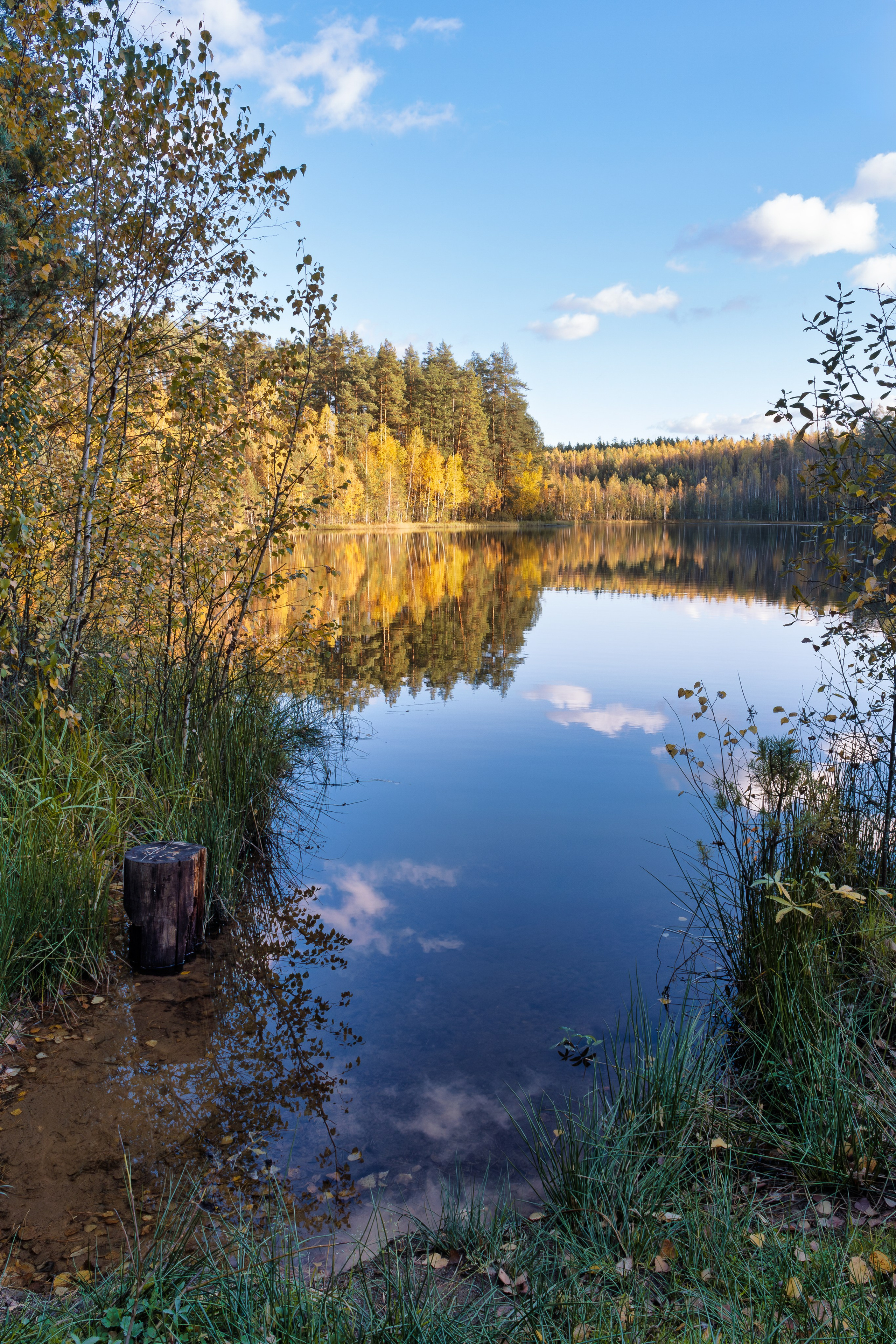 Голубые озера, Псковская область. Октябрь 2024. Фотограф Никифоров-Гордеев Сергей. Москва и МО