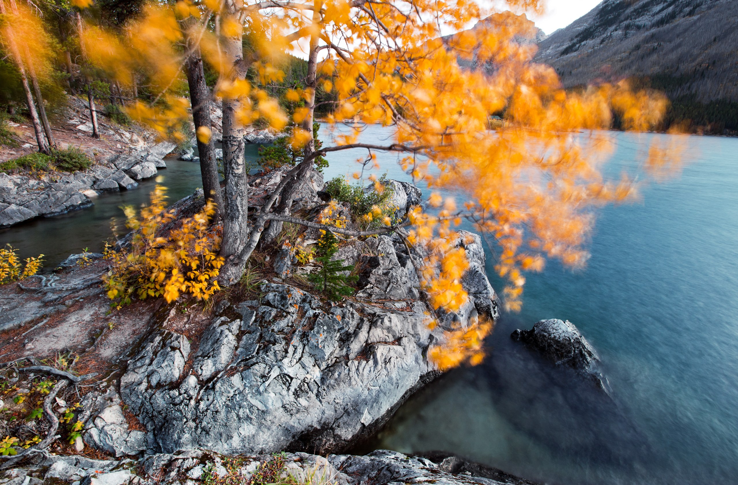 Канада. Фотограф Владимир Медведев