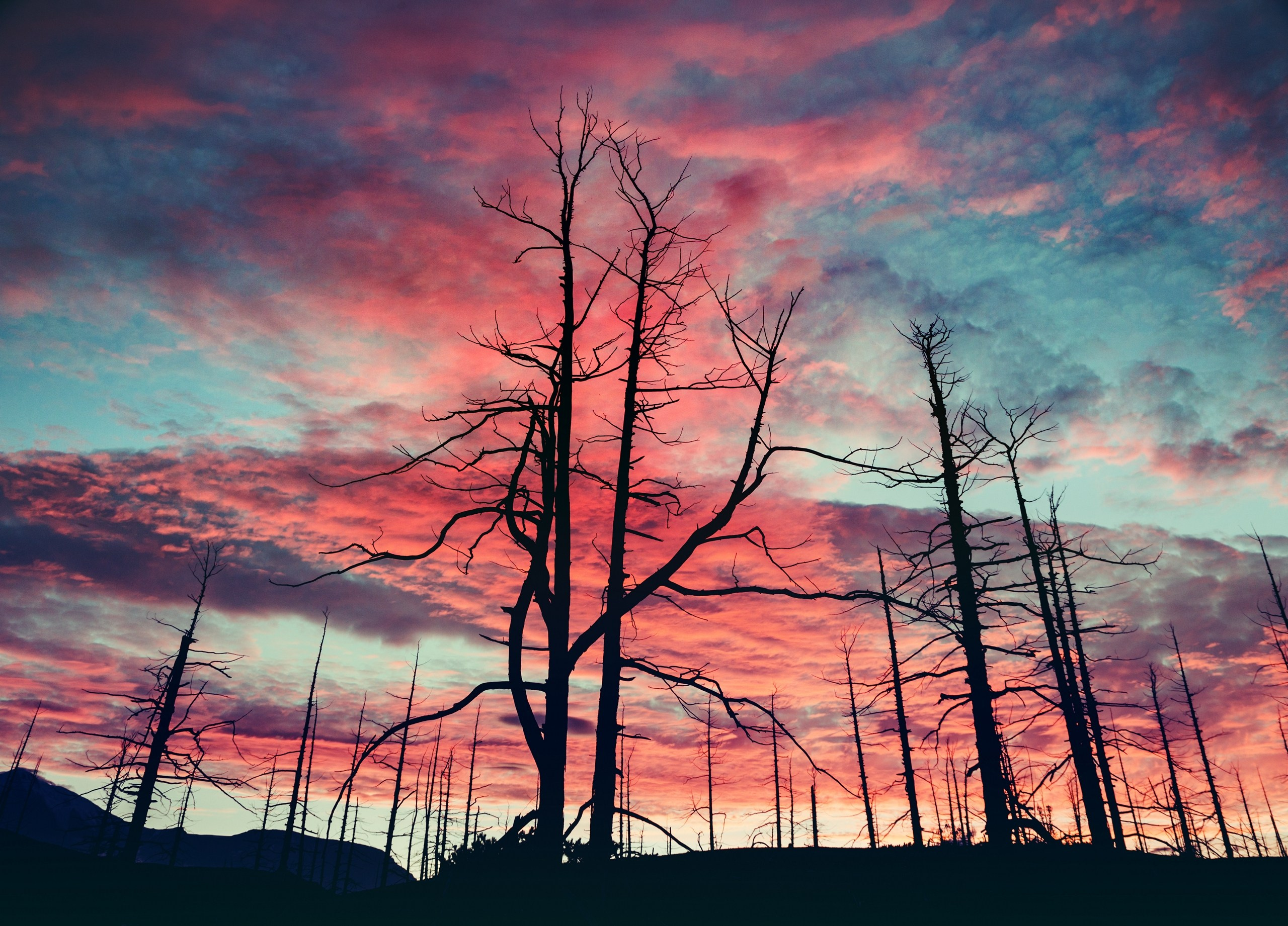 Камчатка. Фотограф Владимир Медведев