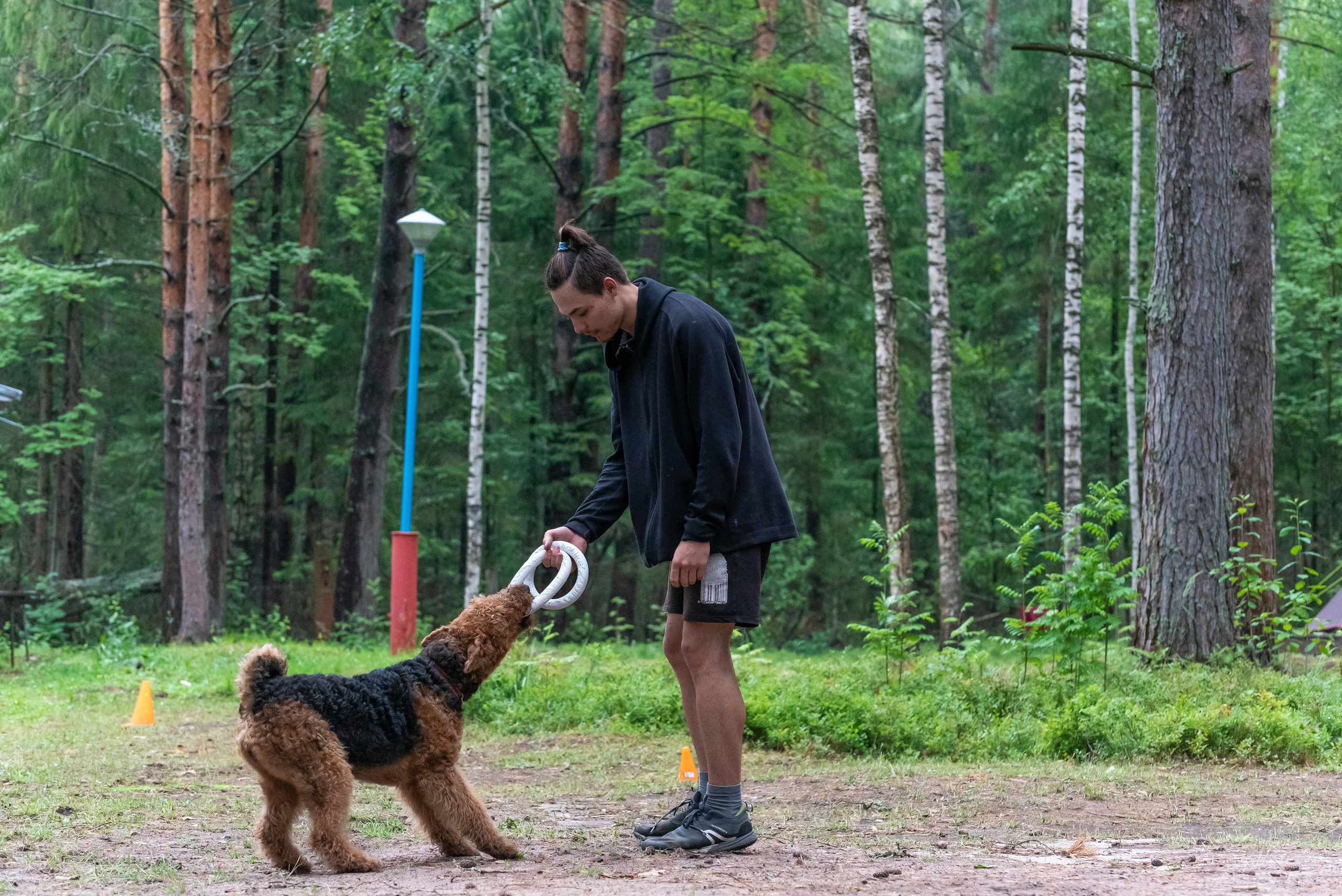 Хвостатые каникулы Детский кинологический лагерь. Фотограф Макс Огурцов в Нижнем Новгороде