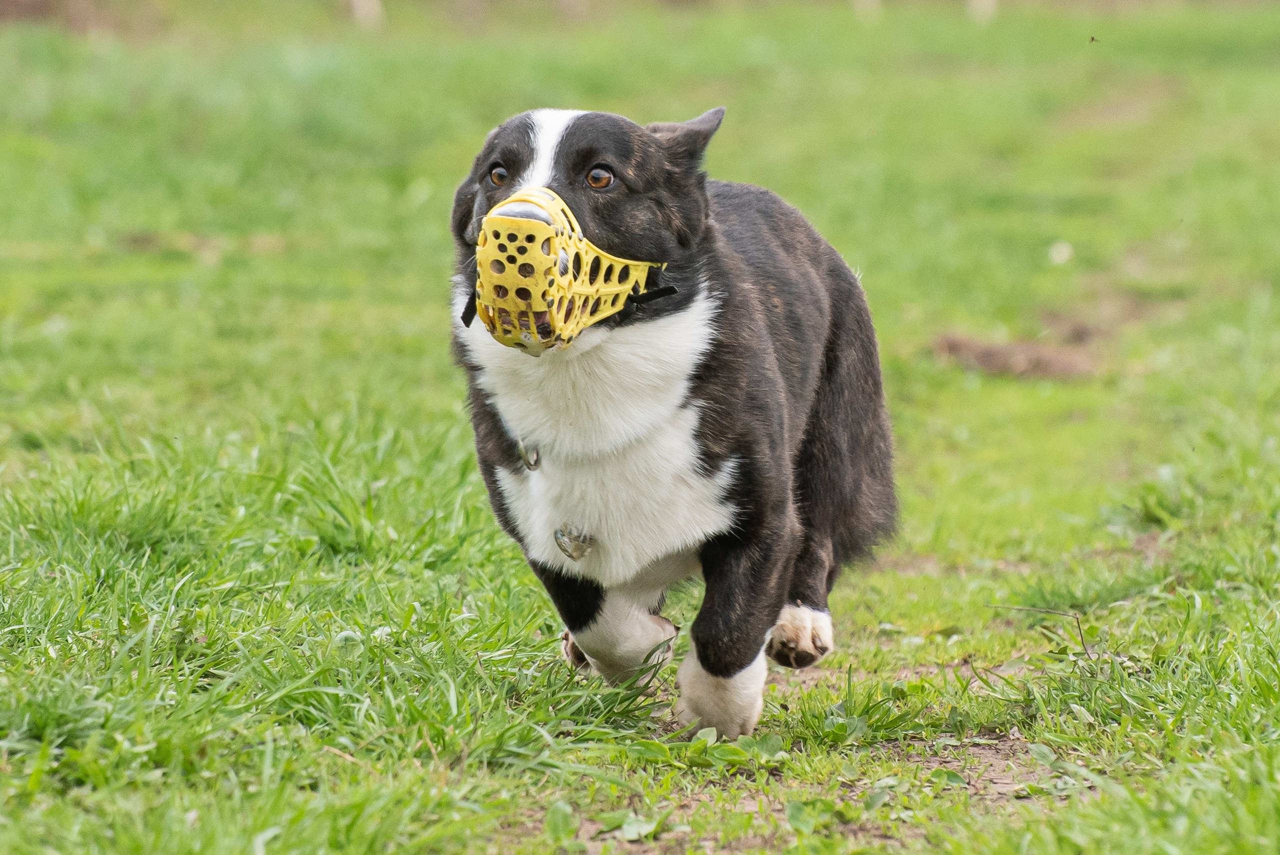 Фотографии с Курсинга. Фотограф Макс Огурцов в Нижнем Новгороде