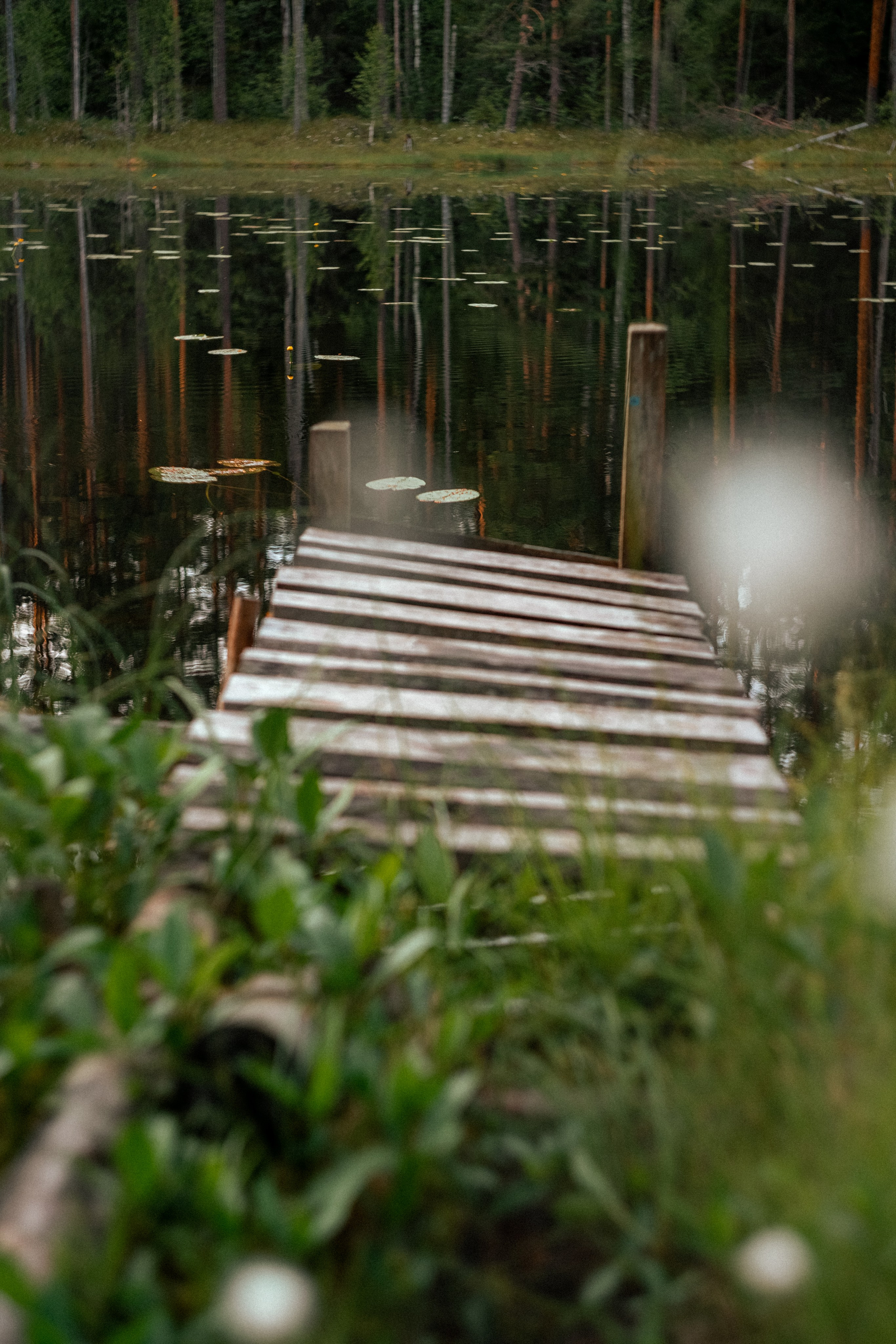 Карелия — место силы. Юля Дэй • Фотограф, Санкт-Петербург