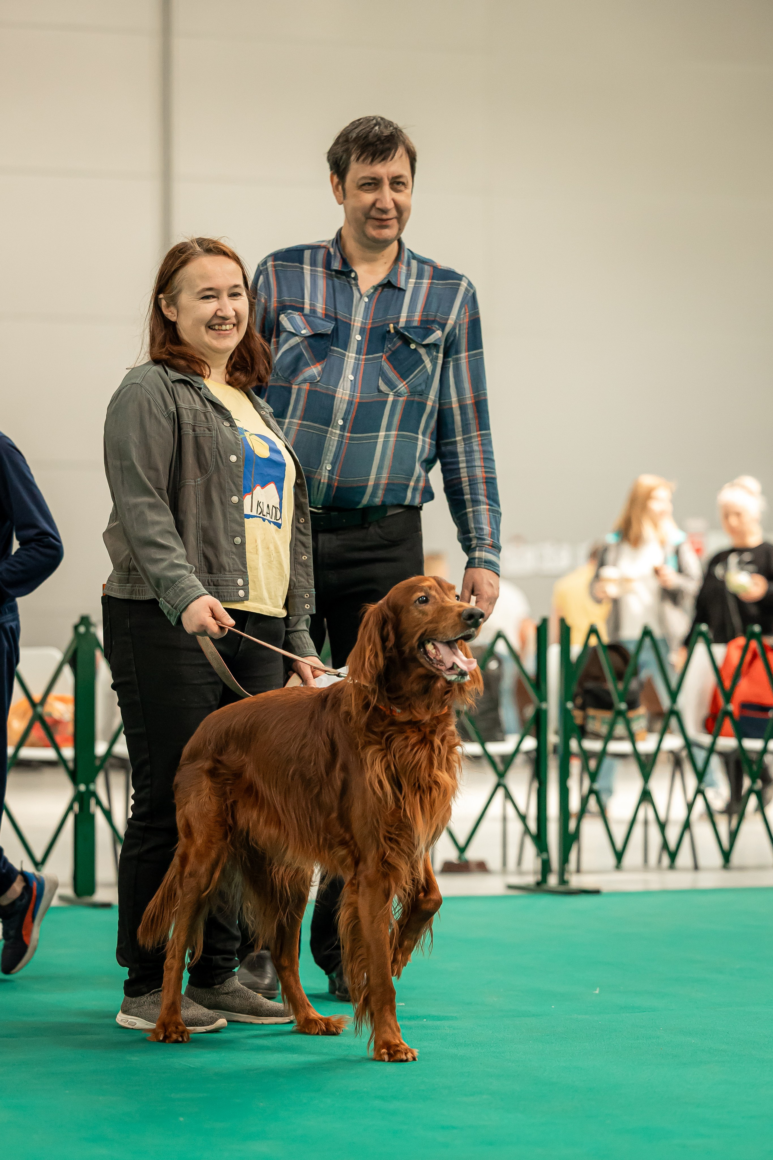 Выставка сеттеров 19.05.24