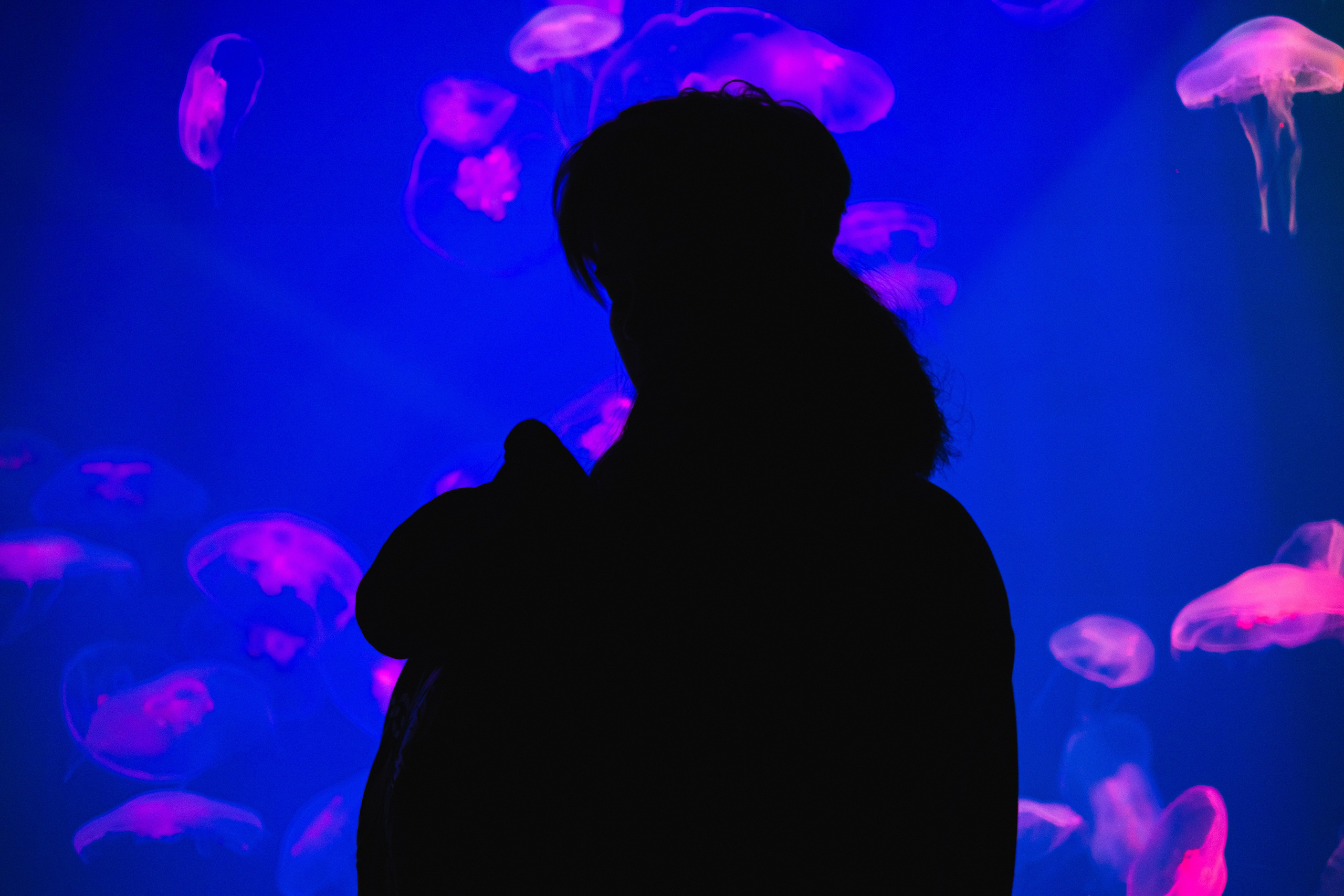 Океанариум. Фотограф Благовещенска Яна