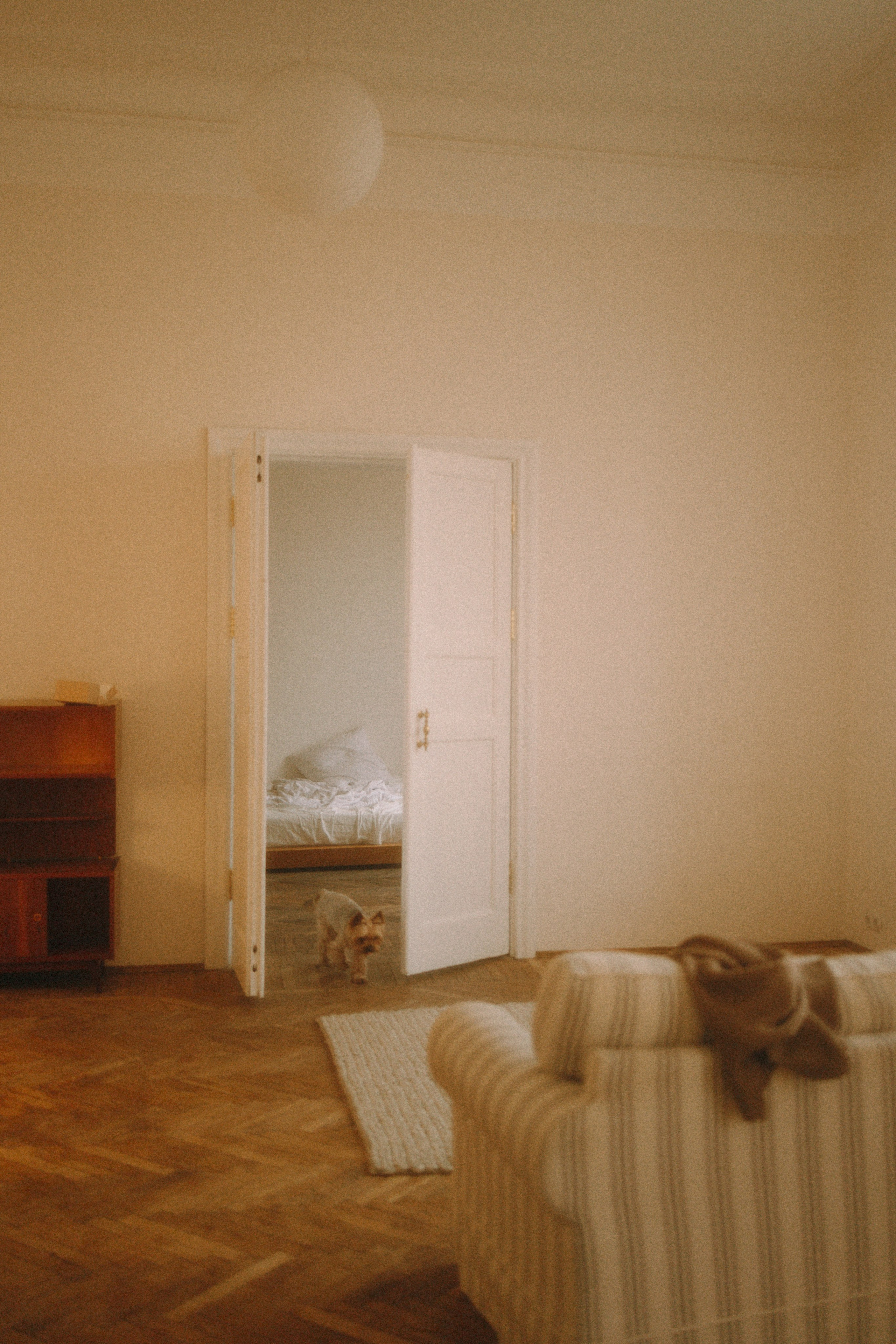 Ричард и Ксюша. Фотограф анималист Анастасия Пикей