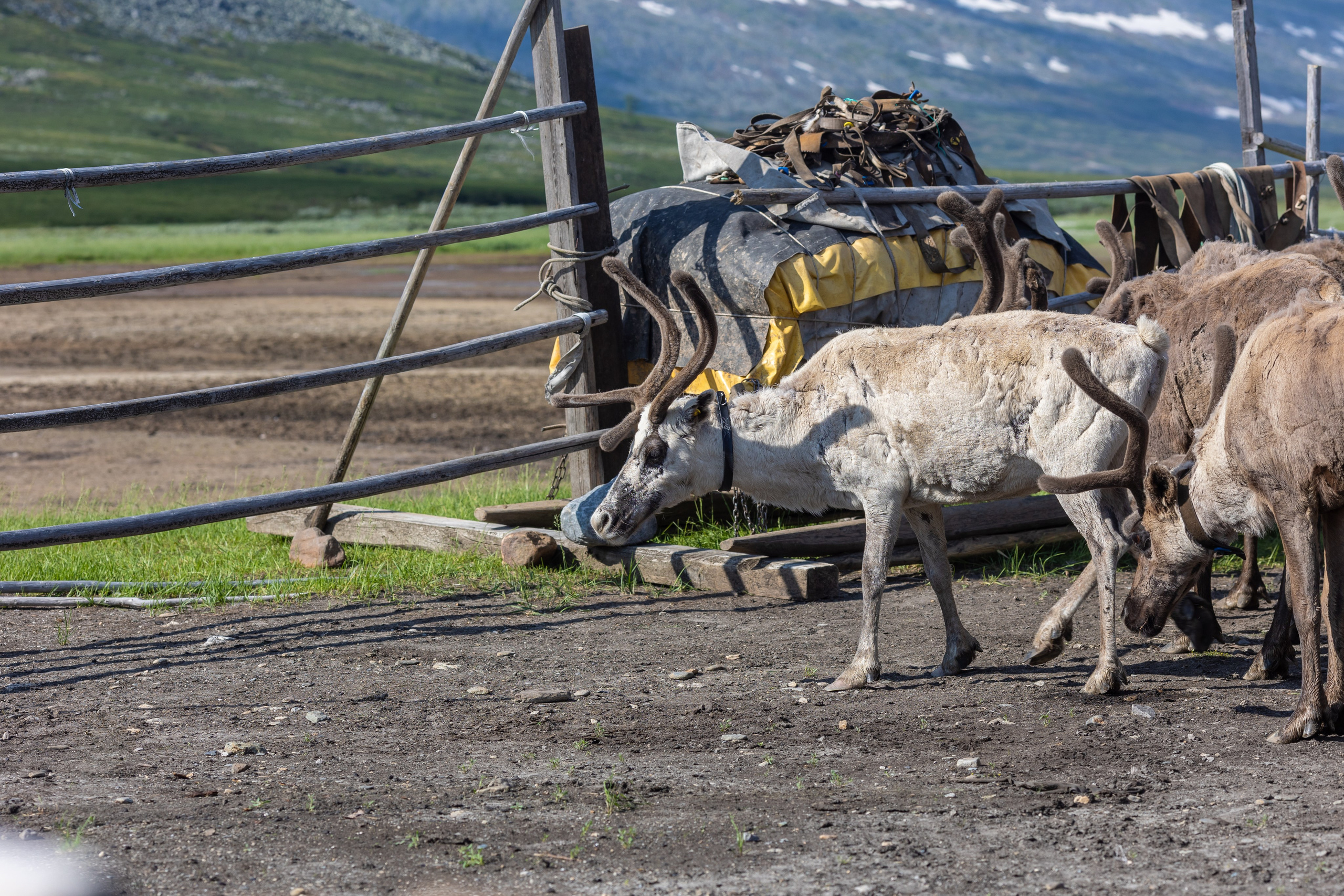Приполярный Урал. Тревел-фотограф Олег Гуров