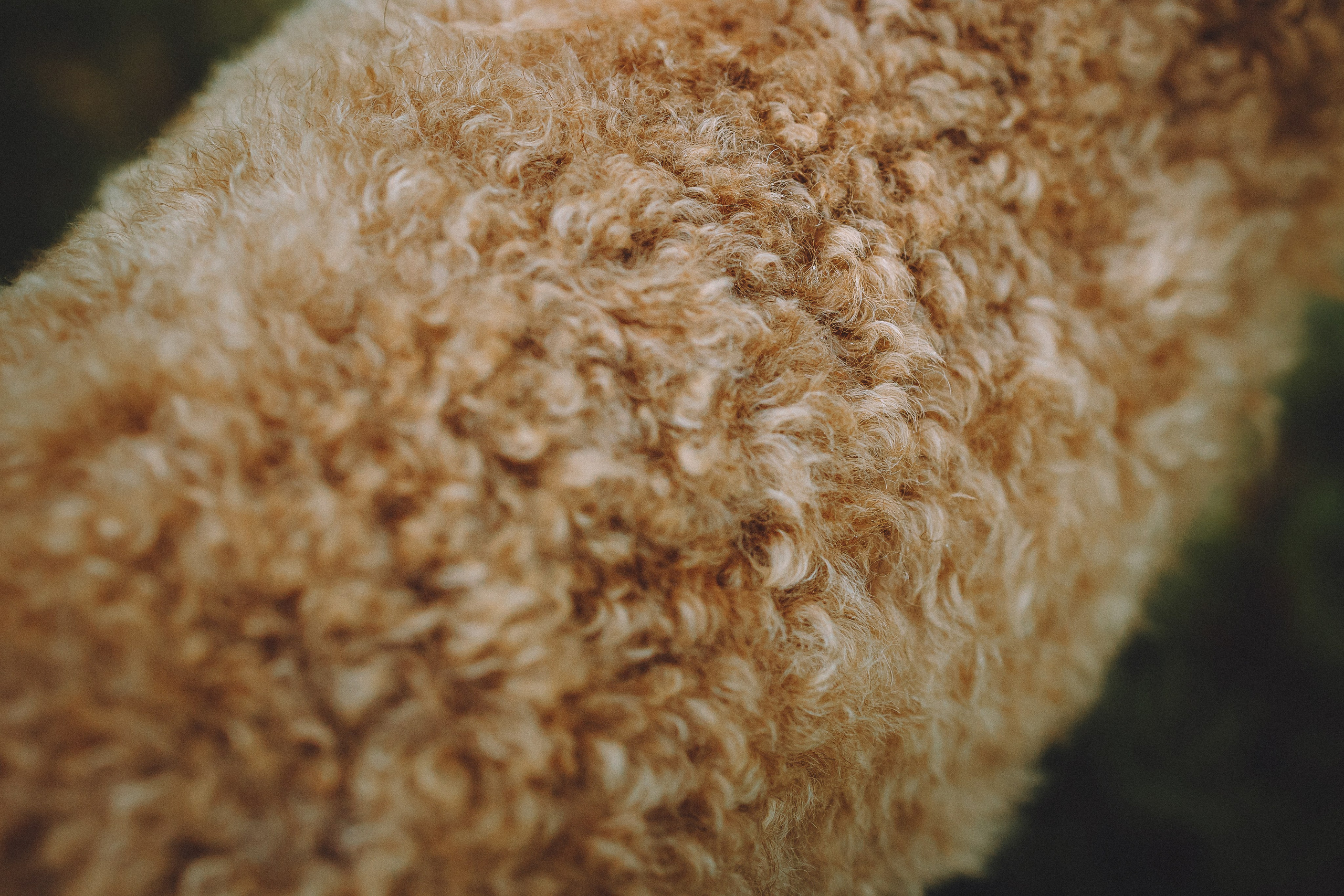 Марья и Буба