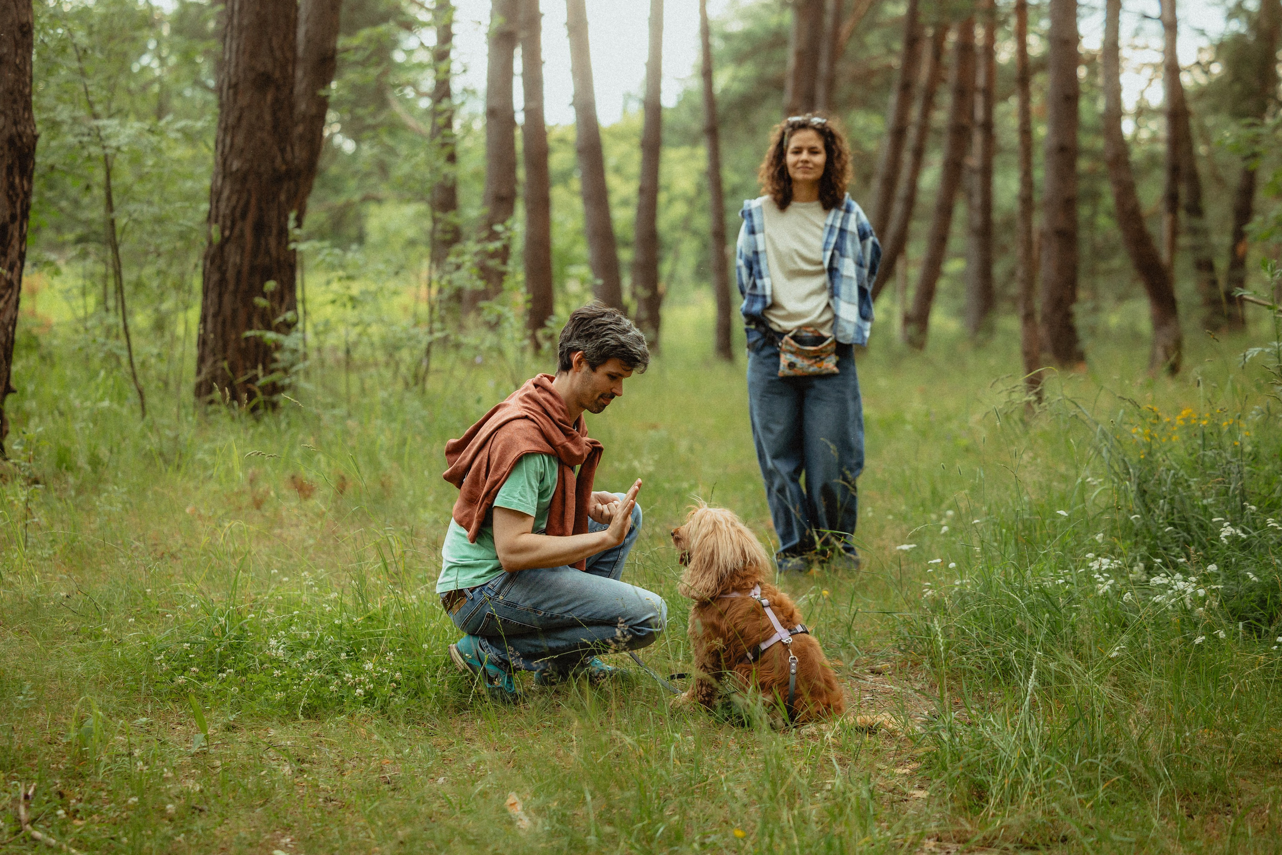 Выездной дог-тренинг от школы «Шерсть имею»