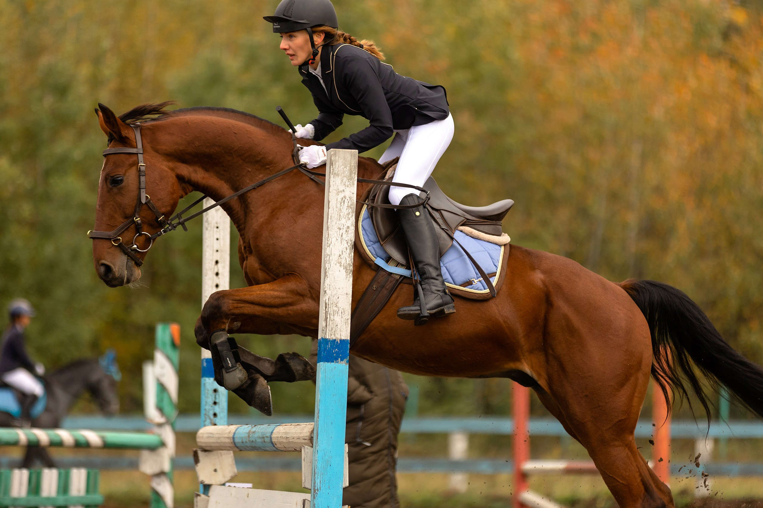 Соревнования по конному спорту. Конный фотограф Валынкина Лера