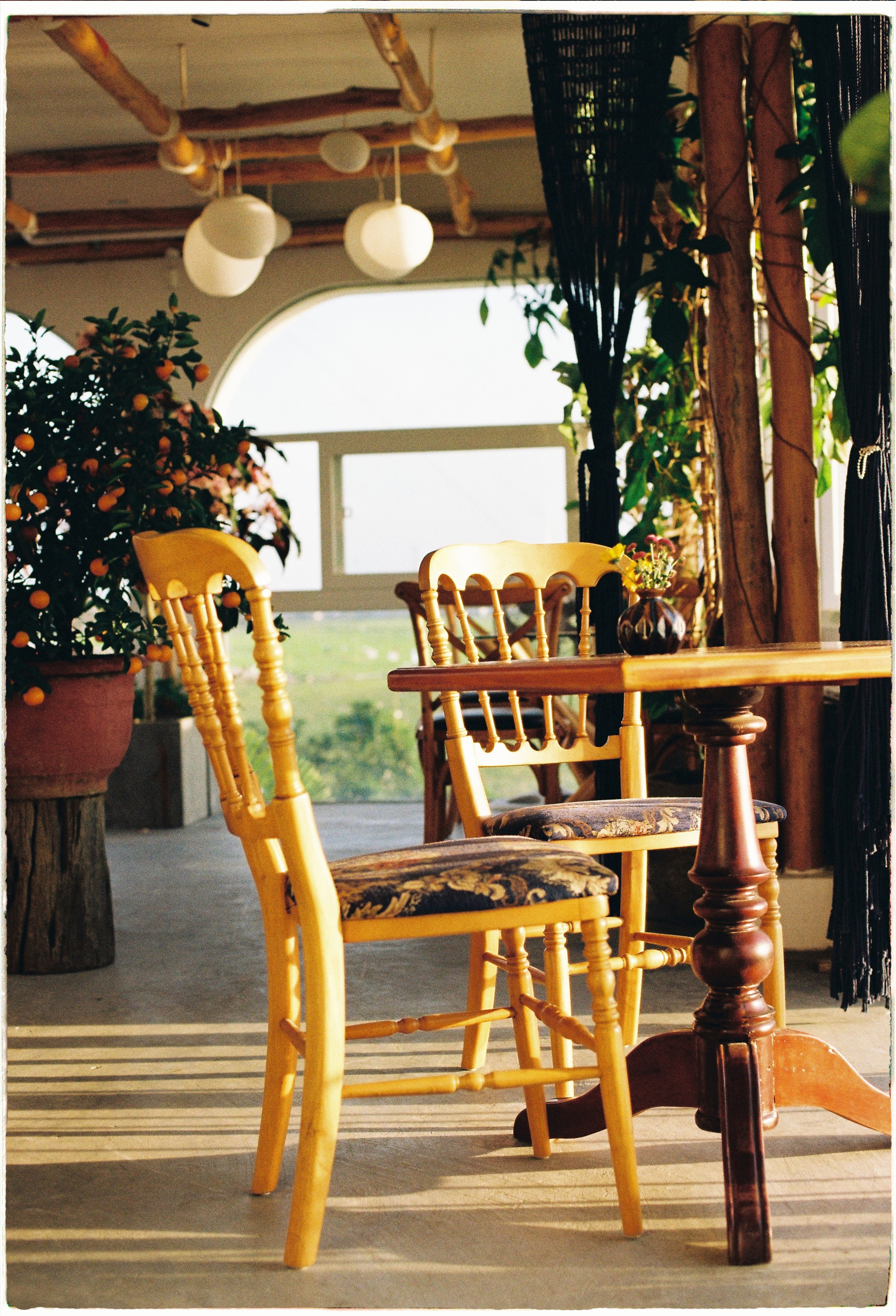 Hoi An. Film Photographer in Da Nang, Vietnam — Tanya Parfenteva