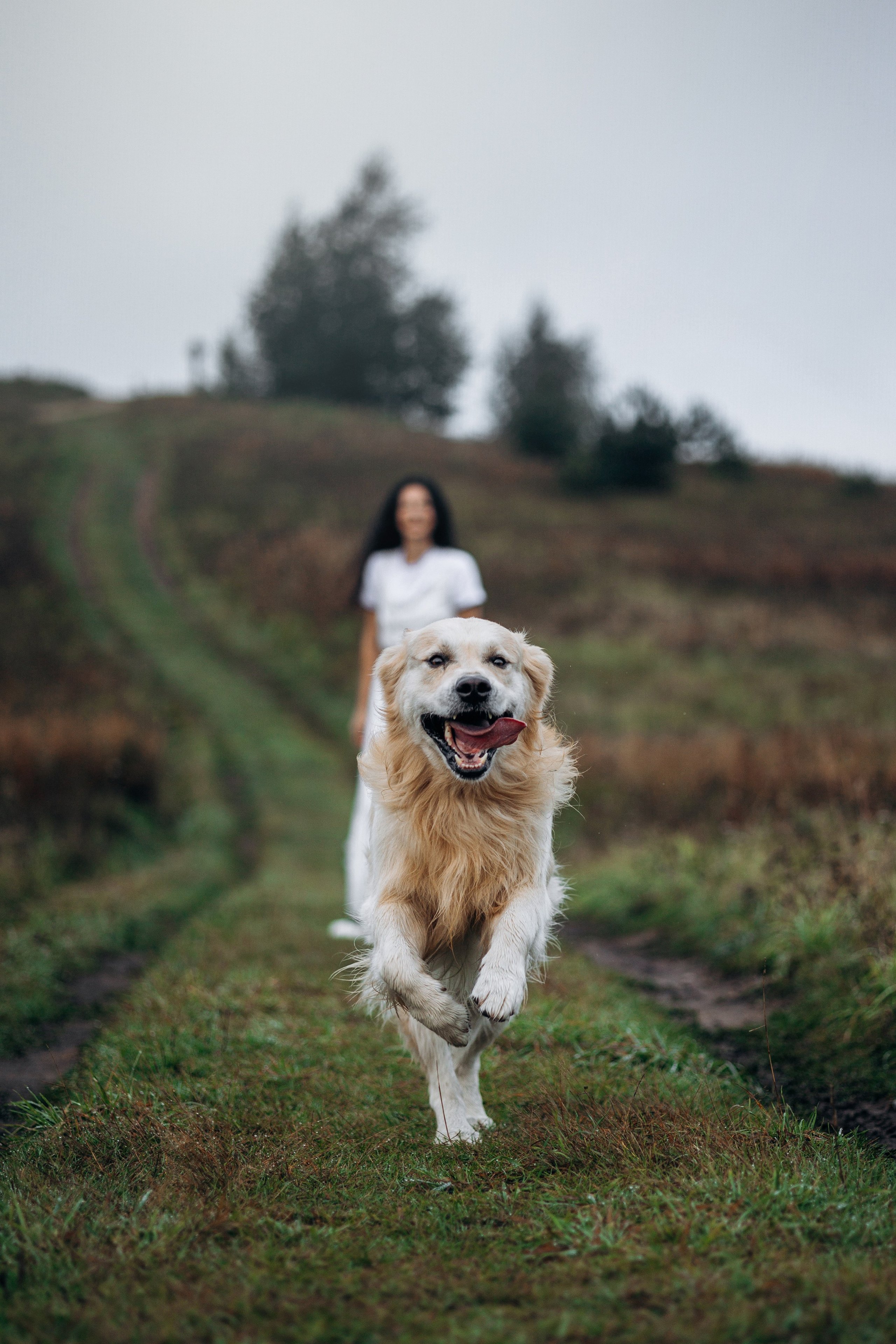 Лёва и его семья. Фотограф — Анималист | Санкт-Петербург