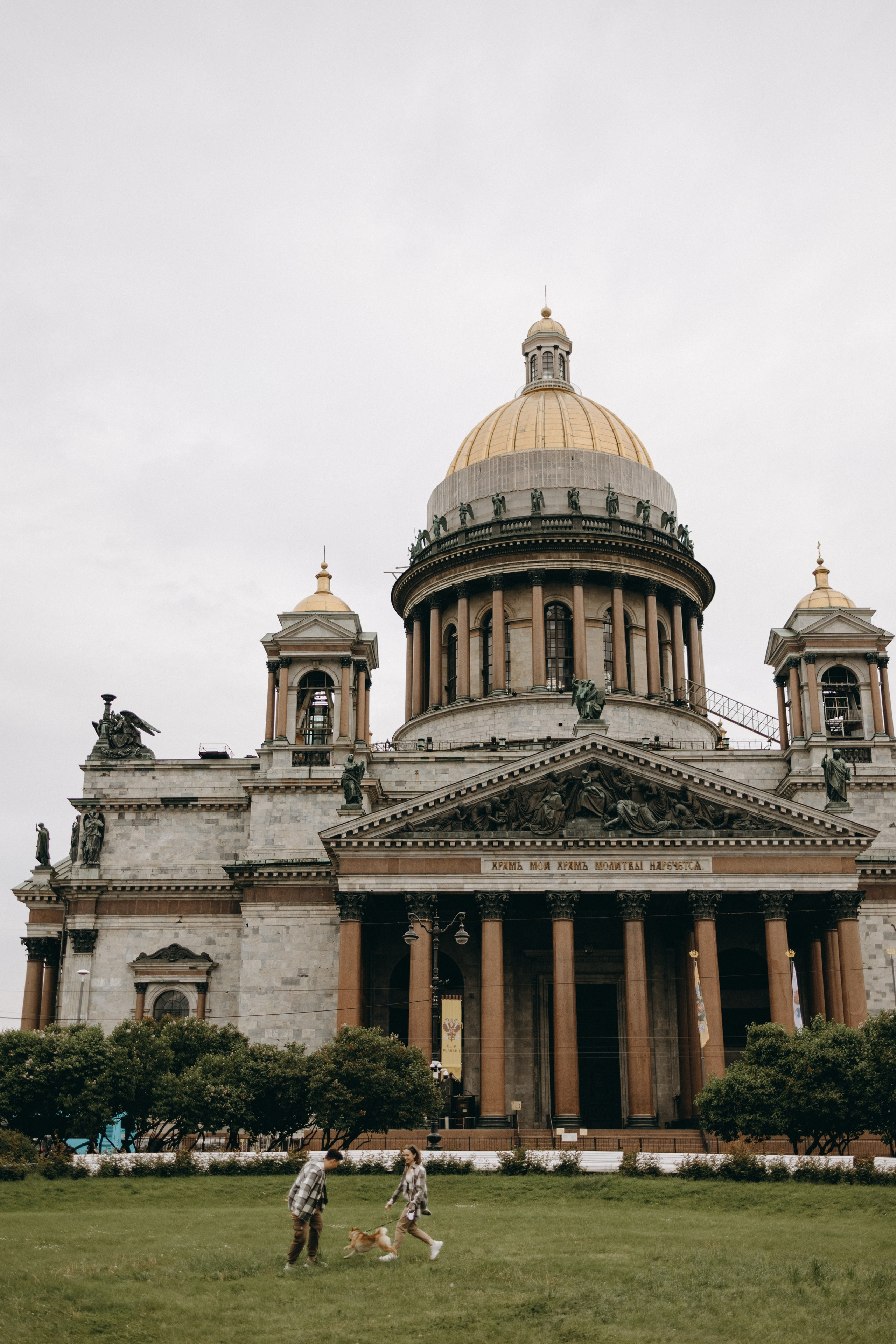 Сириус и его семья. Фотограф — Анималист | Санкт-Петербург