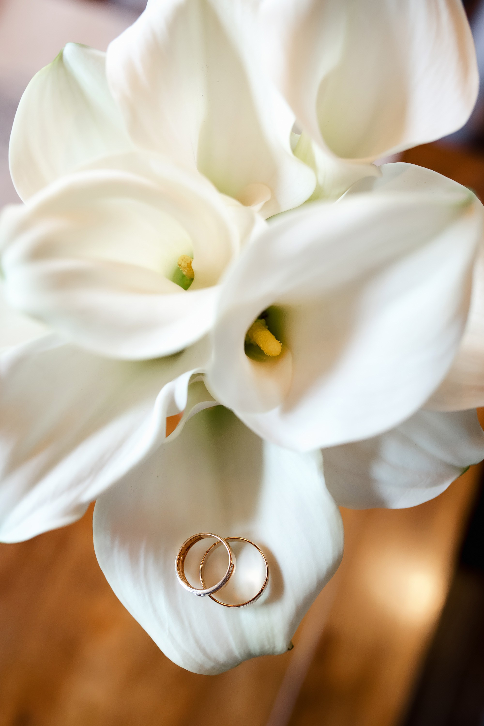 Степан и Ульяна. Утро. Загс. Прогулка. Дождь и солнце. Свадебный фотограф в Хабаровске