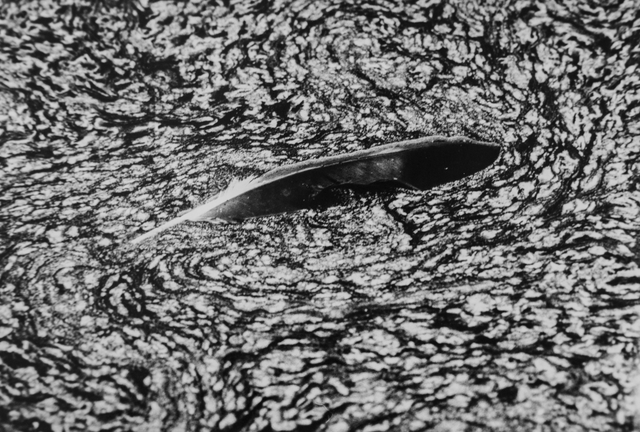 Аналоговая фотография и ручная печать. Фотохудожник Дарья Берг в Санкт-Петербурге и Москве