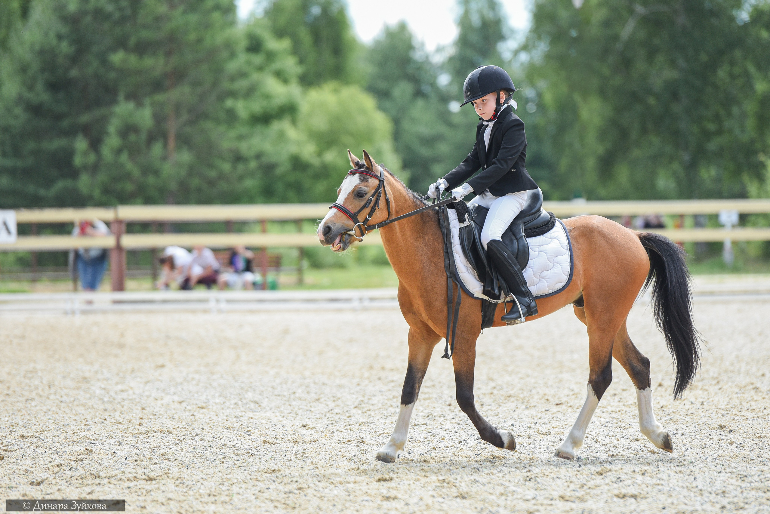 КЭК Ассамблея. Тесты, дети. Мотофотограф в Нижнем Новгороде Динара Зуйкова