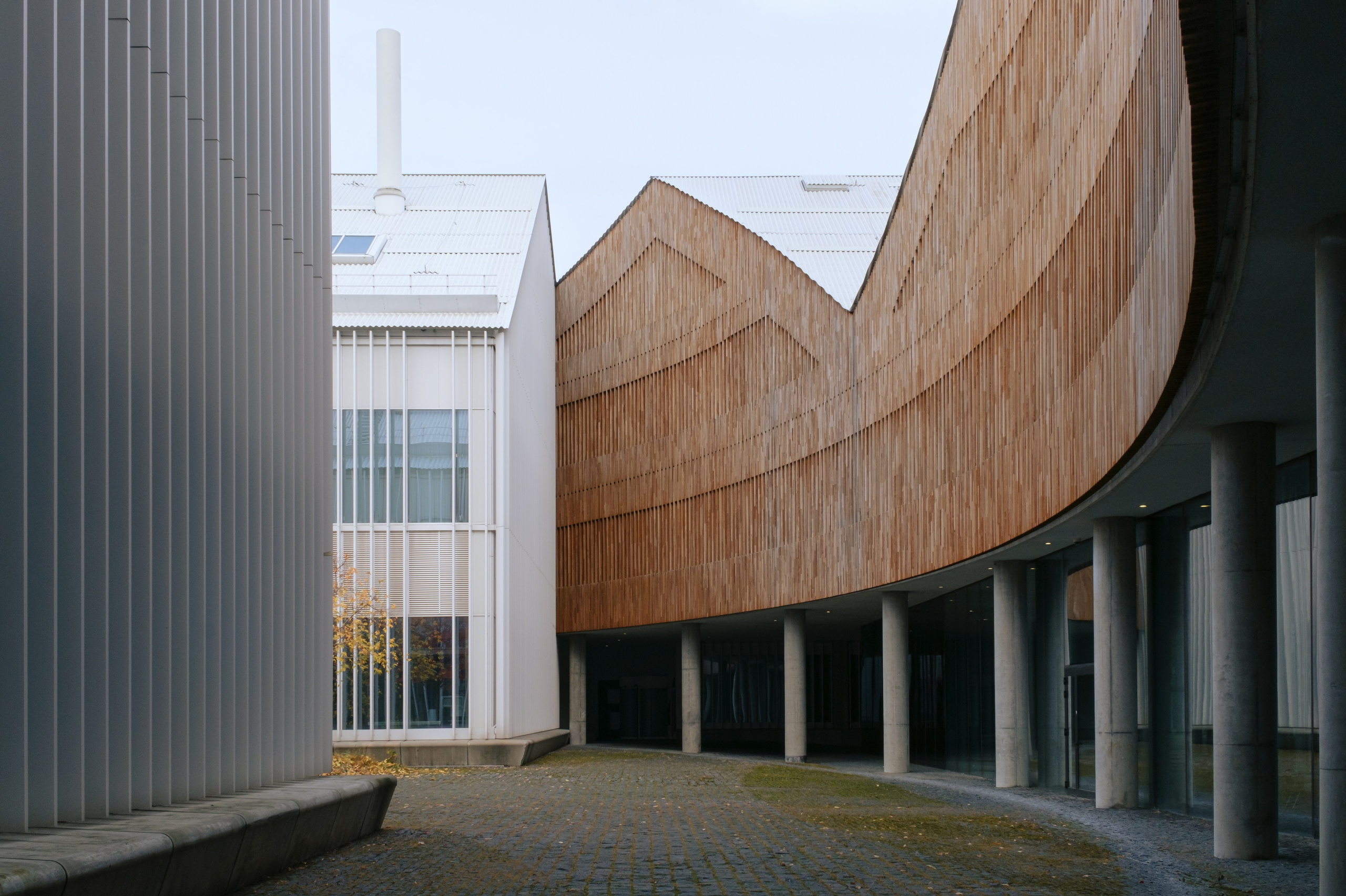 Сколтех, 2025. Фотограф и исследователь городской среды Ксения Русс