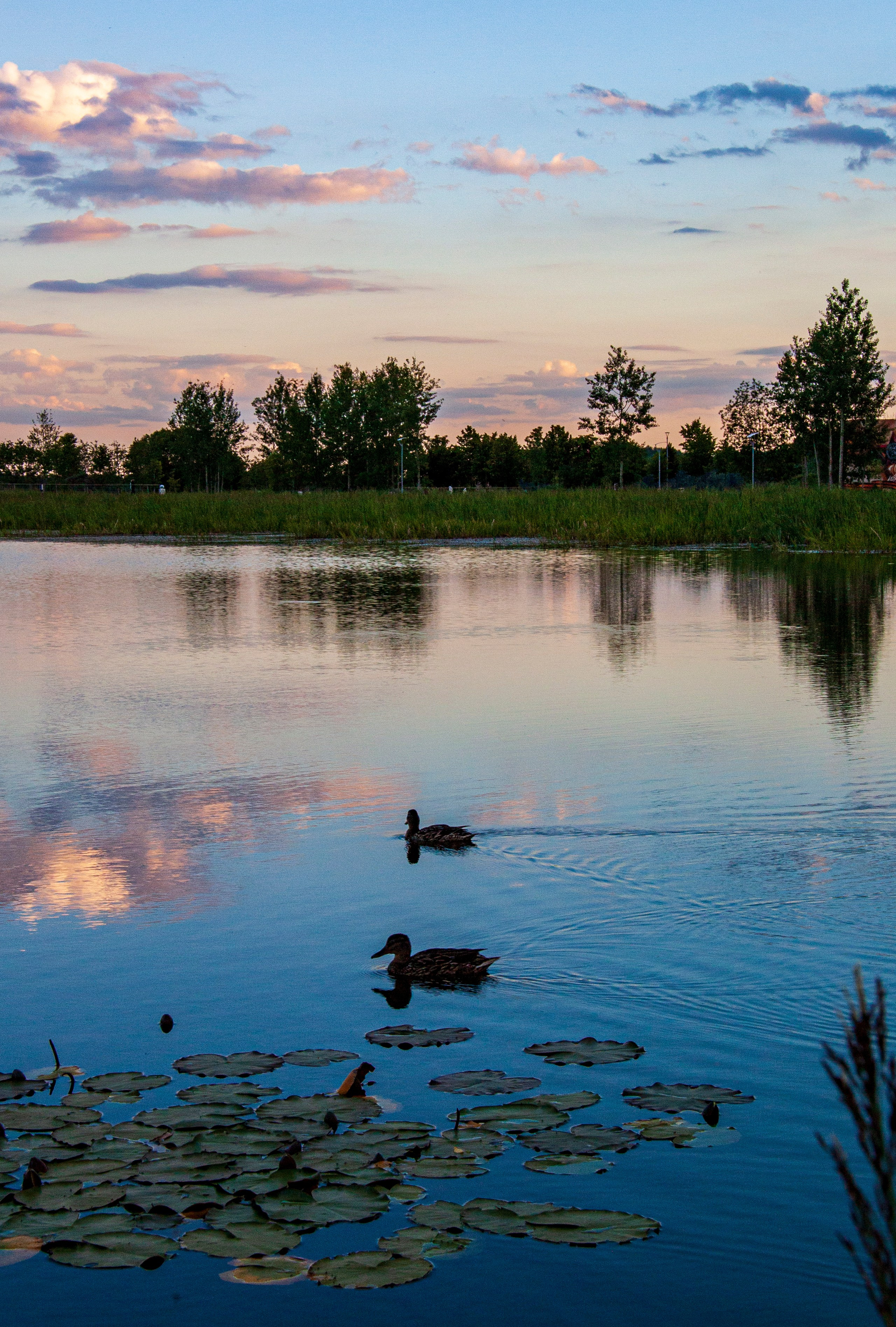 Пейзаж. Фотограф Люся Воробьева