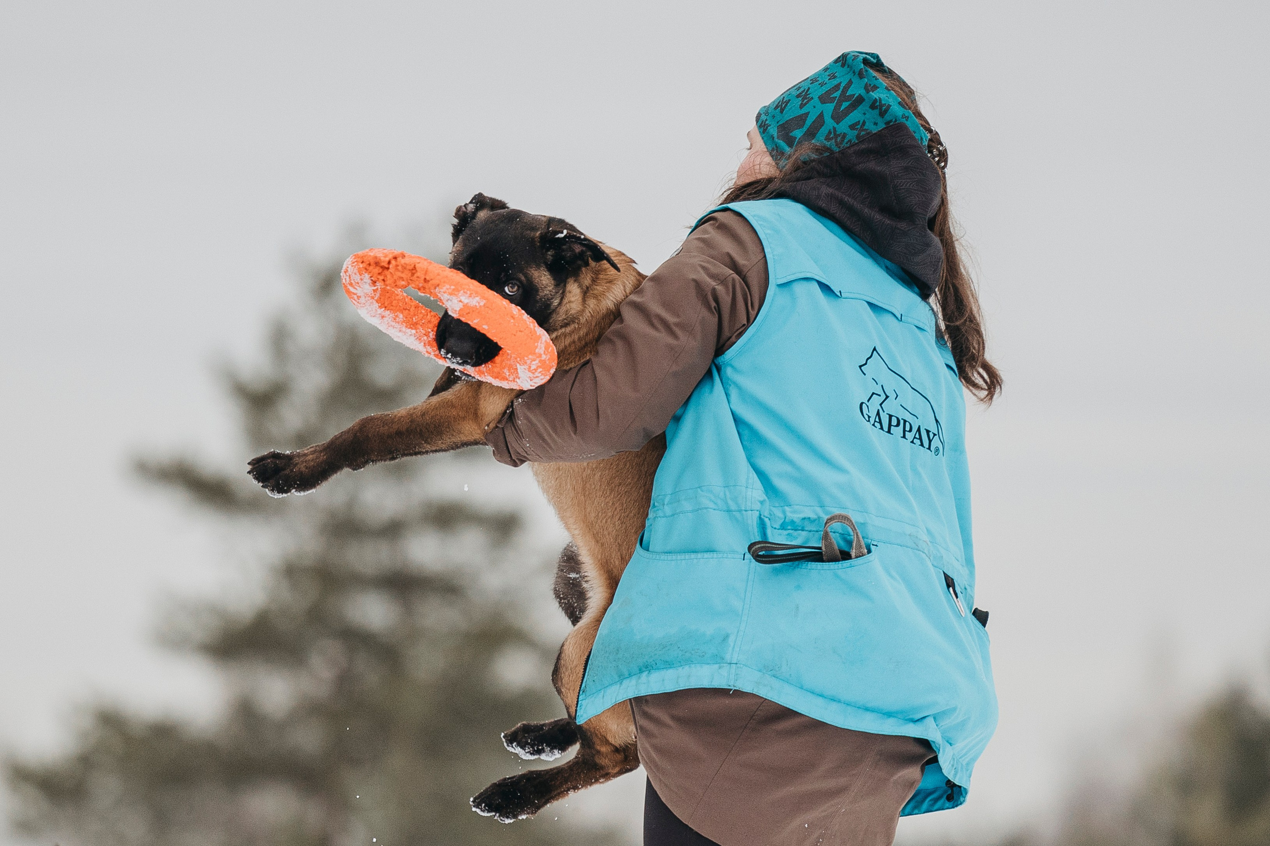 Даша, Омен, Айс и Рицу. Фотограф-анималист Анна Маринич