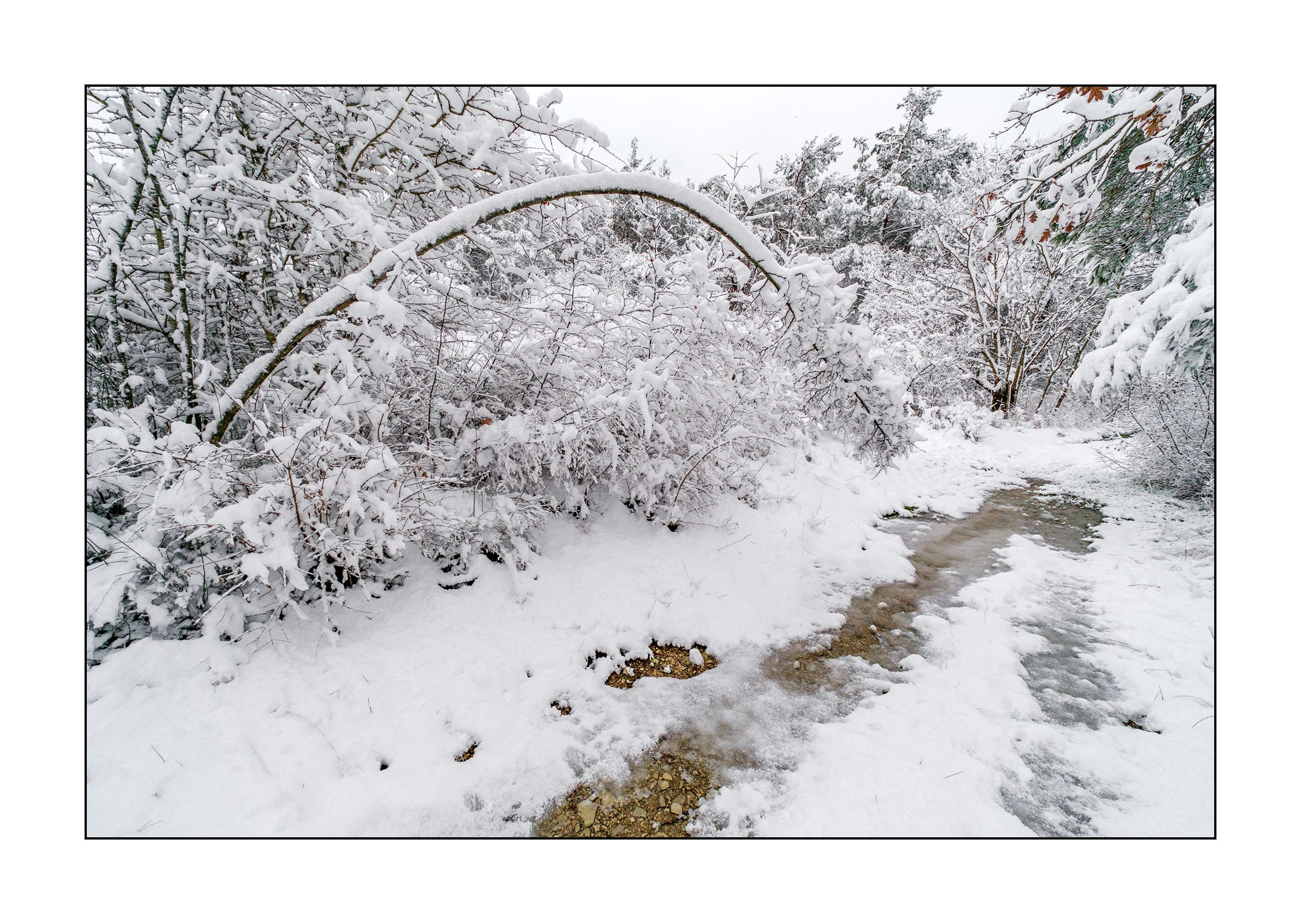 фотограф Геленджик