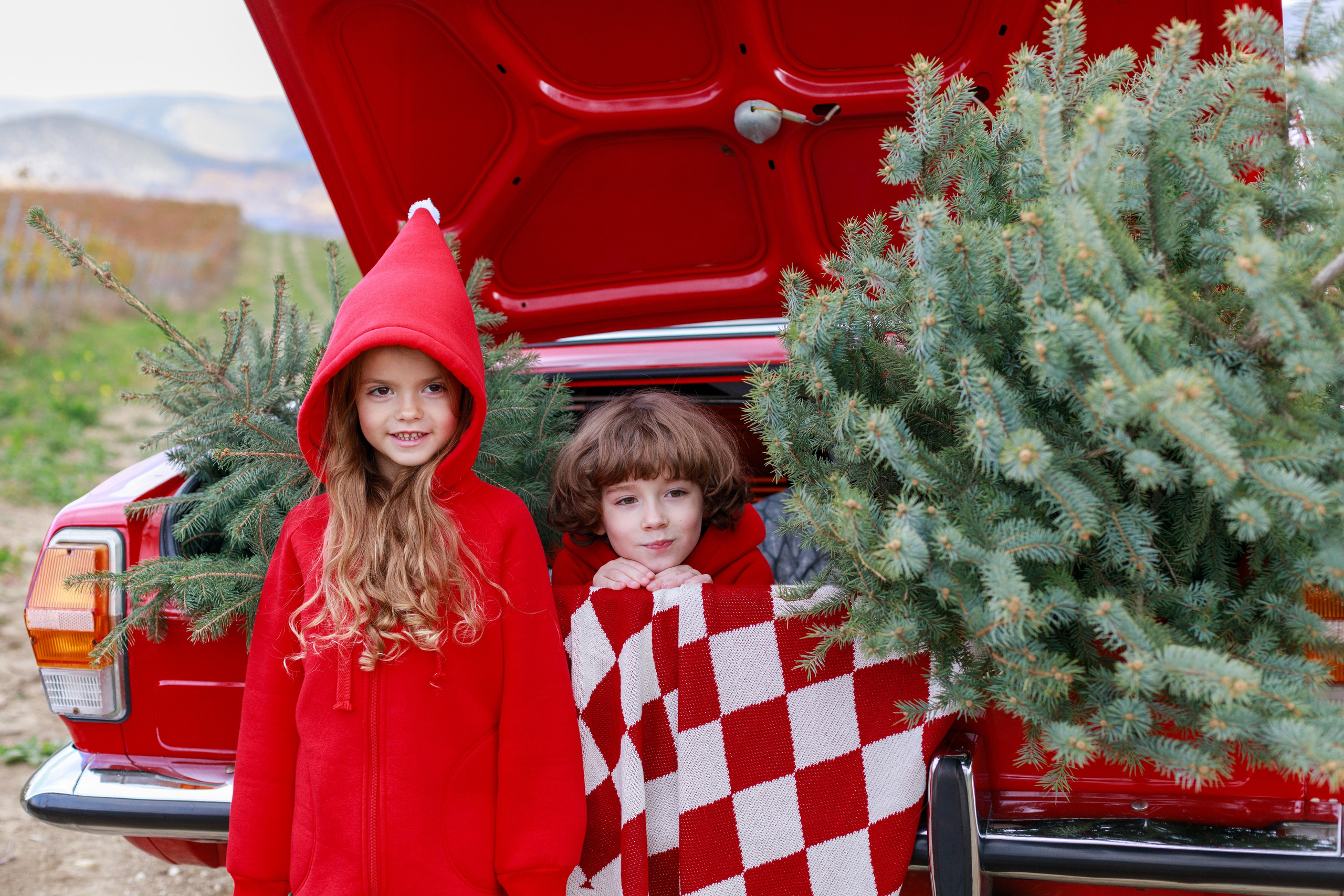 MJOLK. Новогодняя коллекция. Римма Зайцева контент для брендов