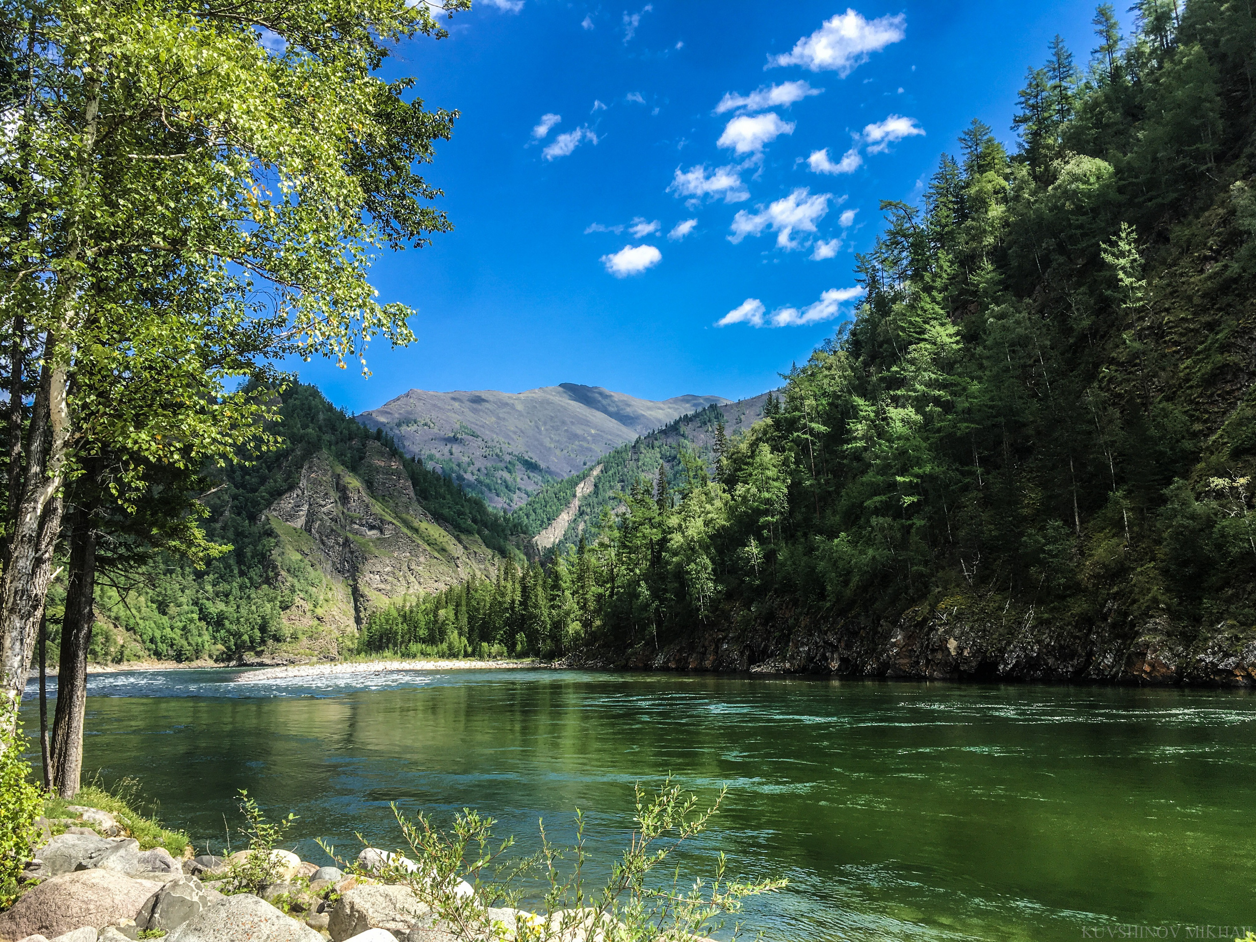 Природа. Главная