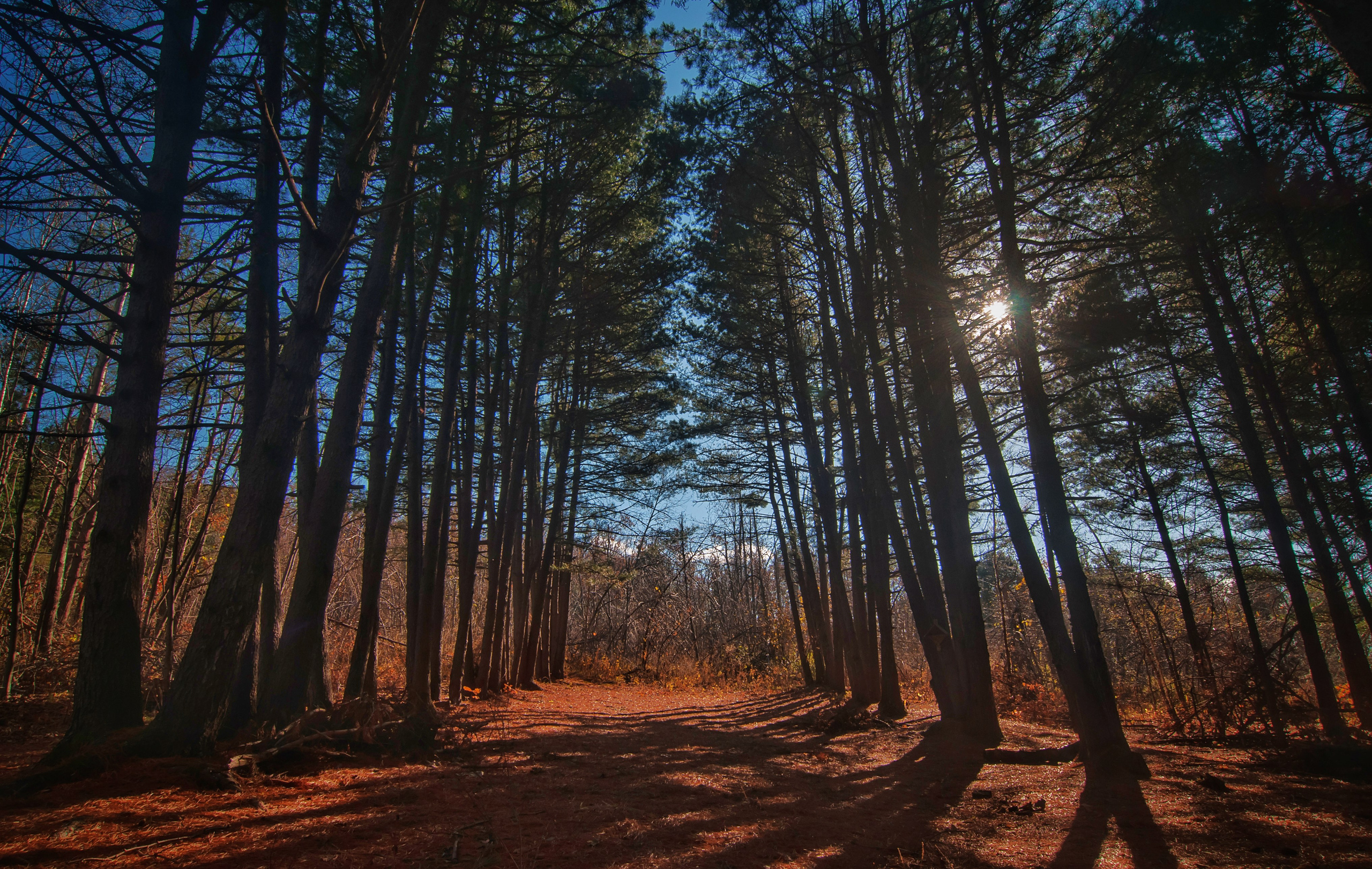 Пейзажи и дикая природа. Пейзажный и репортажный фотограф