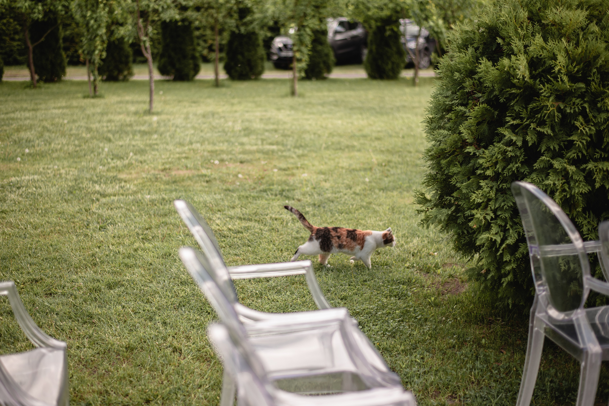 Анна & Владислав. Свадебный фотограф Татьяна Сорока Москва и МО