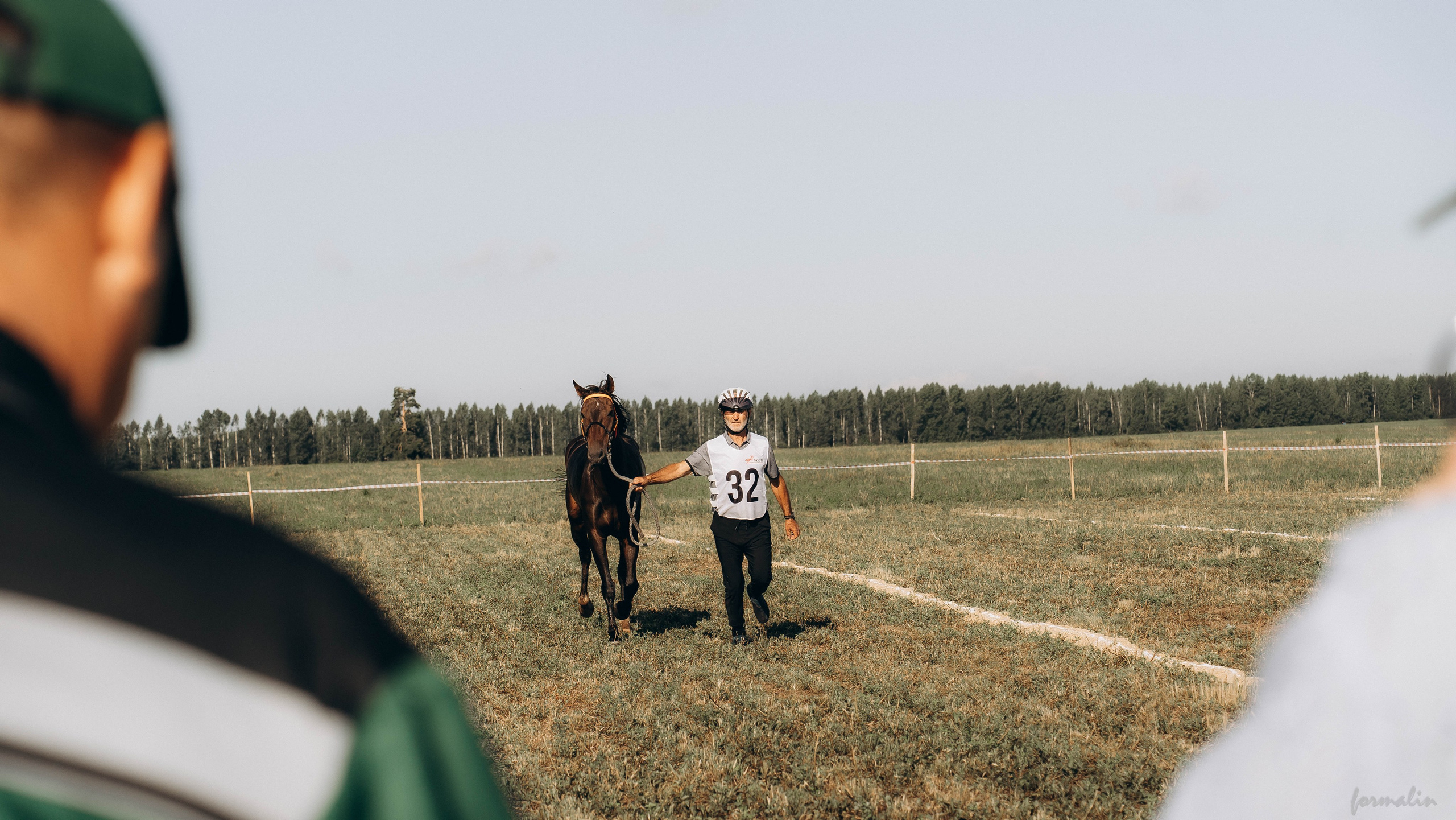 День Коня. Алиса Никитцова | Фотограф в Казани