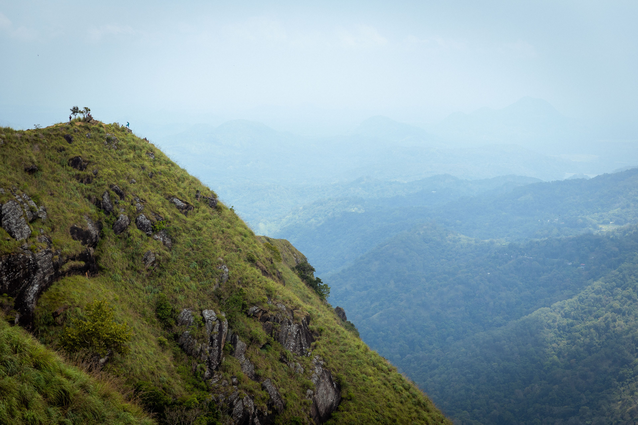 Шри-Ланка (весна 2024). Фотограф Виноградов Константин